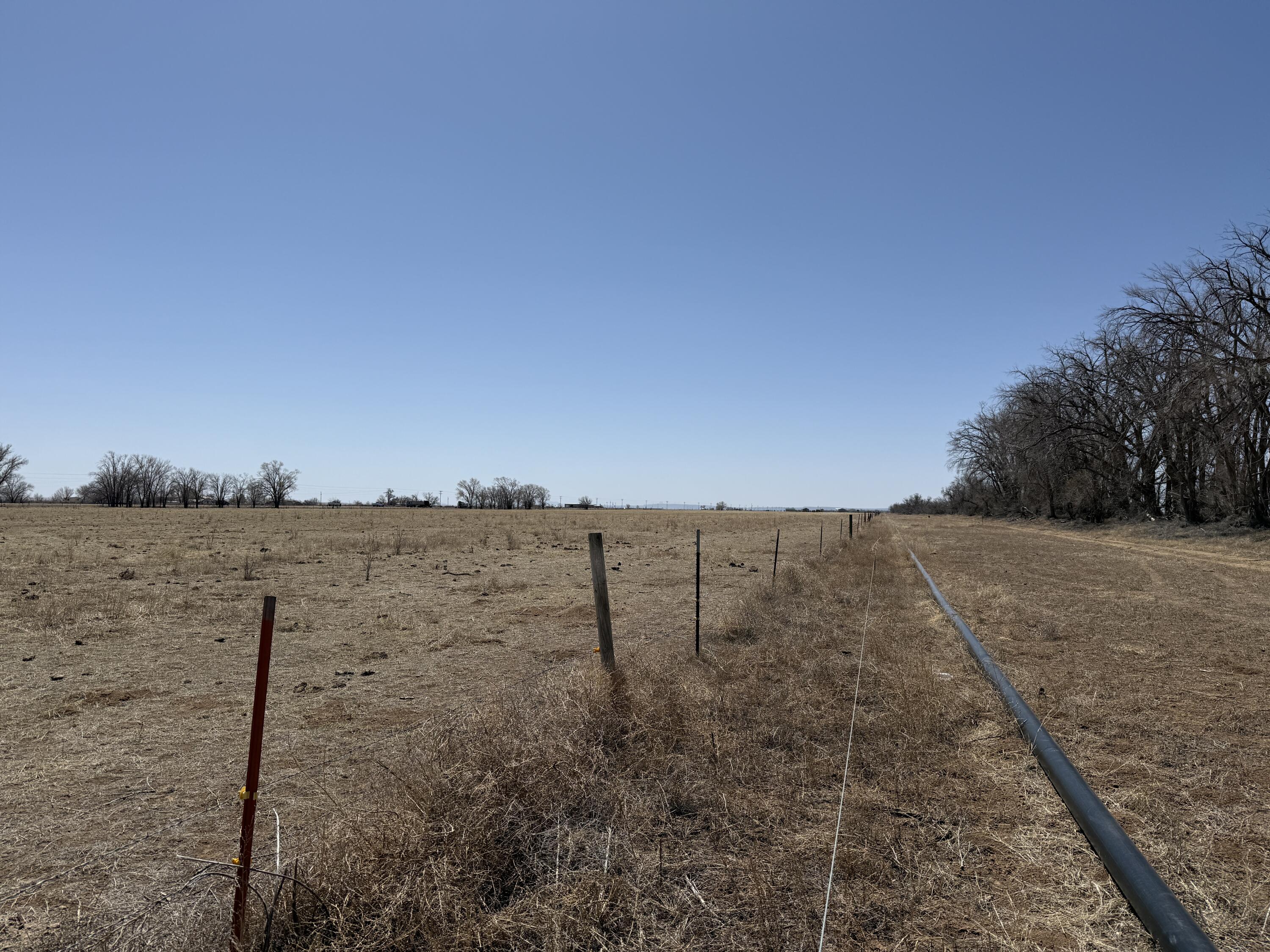 1454 Hwy 41, Estancia, New Mexico image 20