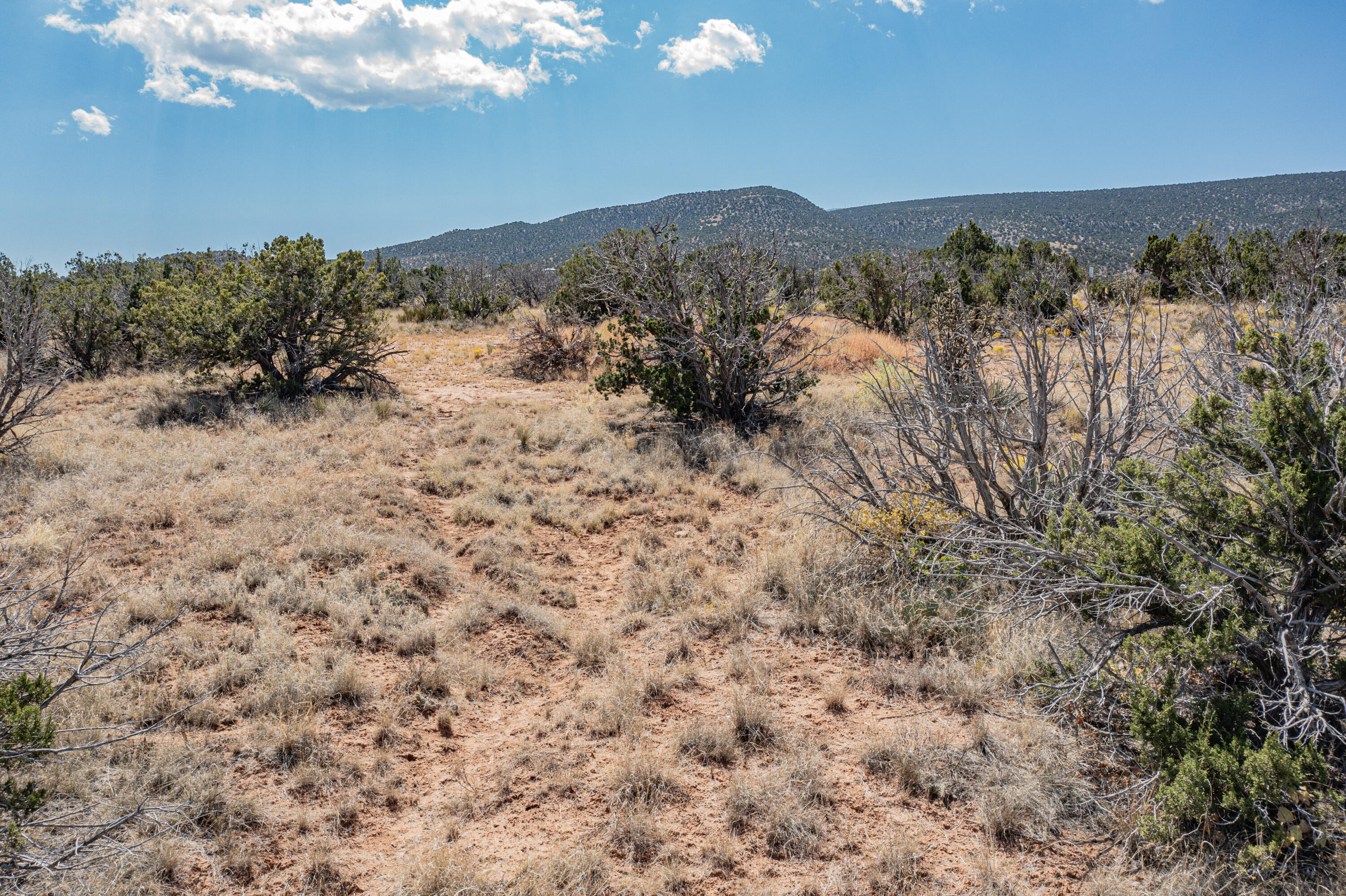 244 Moonlight Ridge Road, Placitas, New Mexico image 19