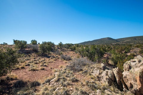 Vacant Land For Sale - 234 N Wild Primrose<br/> Placitas, NM 87043