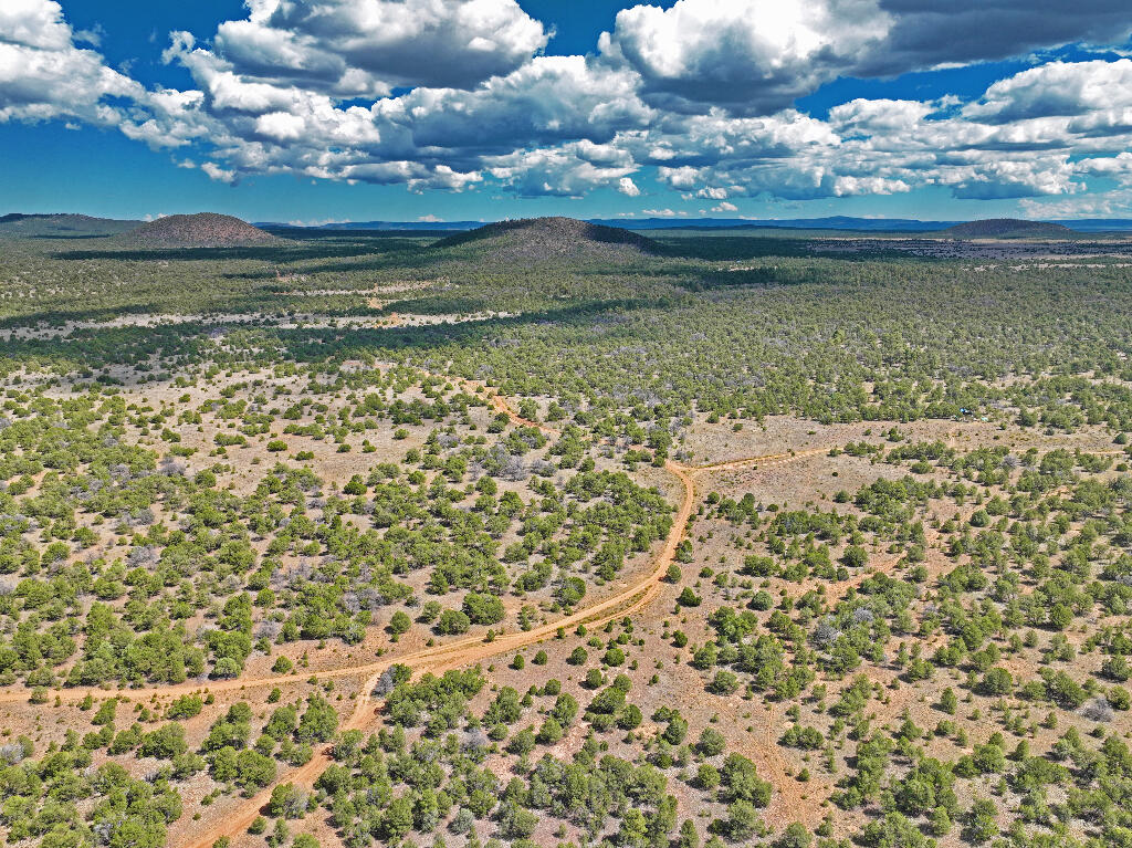 Tierra Verde  Ranchettes, Grants, New Mexico image 2