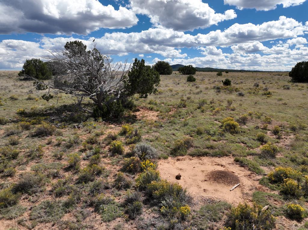 Tierra Verde  Ranchettes, Grants, New Mexico image 6