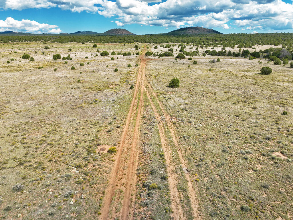 Tierra Verde  Ranchettes, Grants, New Mexico image 15