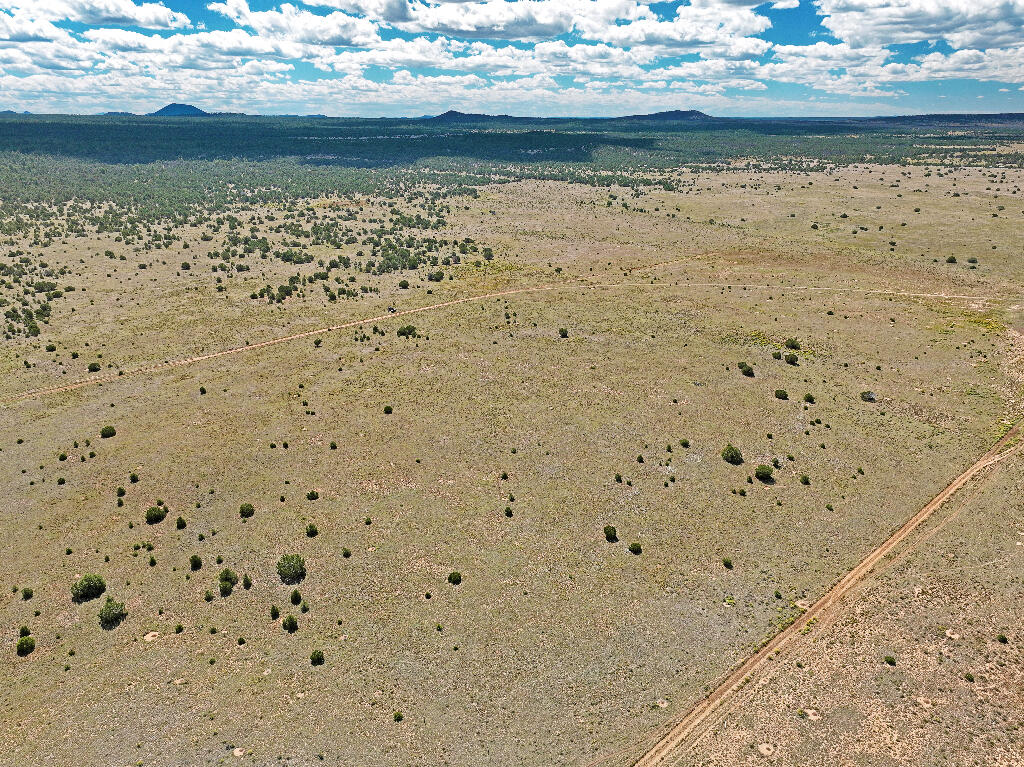 Tierra Verde  Ranchettes, Grants, New Mexico image 9