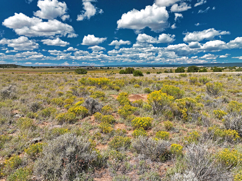 Tierra Verde  Ranchettes, Grants, New Mexico image 26