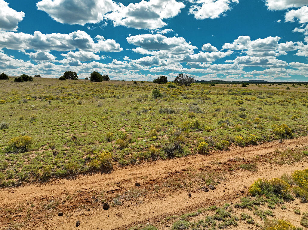 Tierra Verde  Ranchettes, Grants, New Mexico image 3