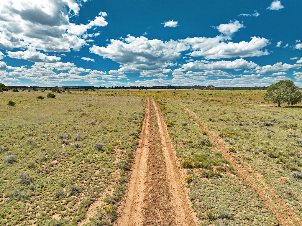 Tierra Verde  Ranchettes, Grants, New Mexico image 4