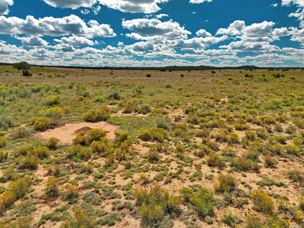 Tierra Verde  Ranchettes, Grants, New Mexico image 25