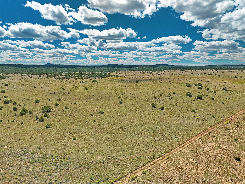 Tierra Verde  Ranchettes, Grants, New Mexico image 10