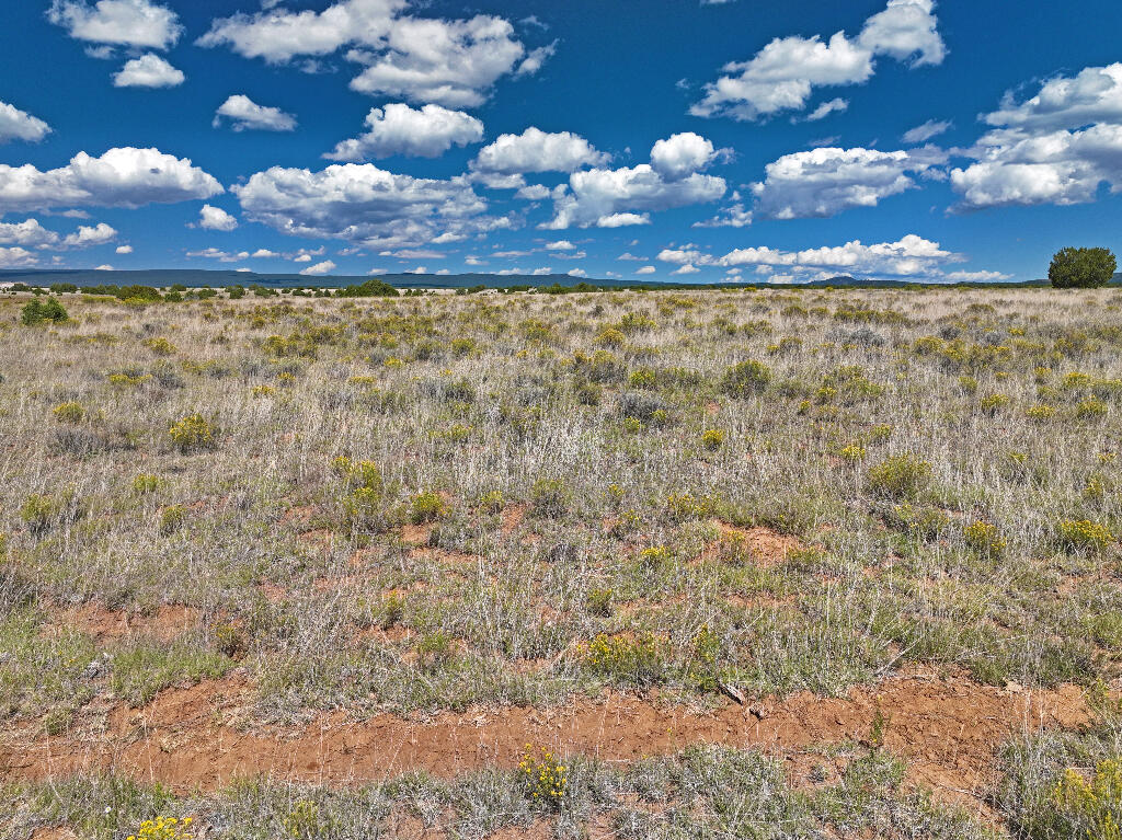 Tierra Verde  Ranchettes, Grants, New Mexico image 24