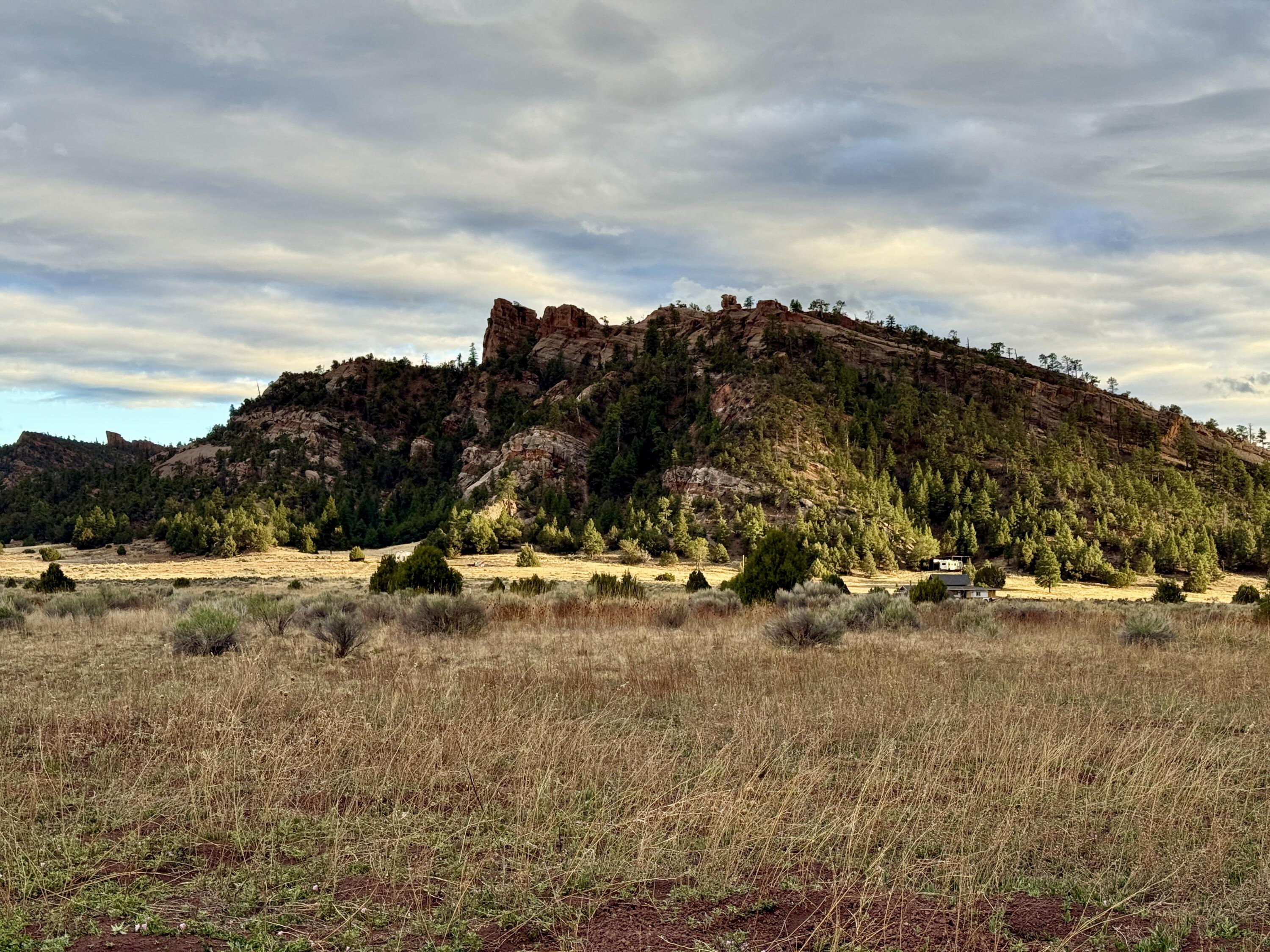 Box S Ranch Lots 5a And 5b, Ramah, New Mexico image 1