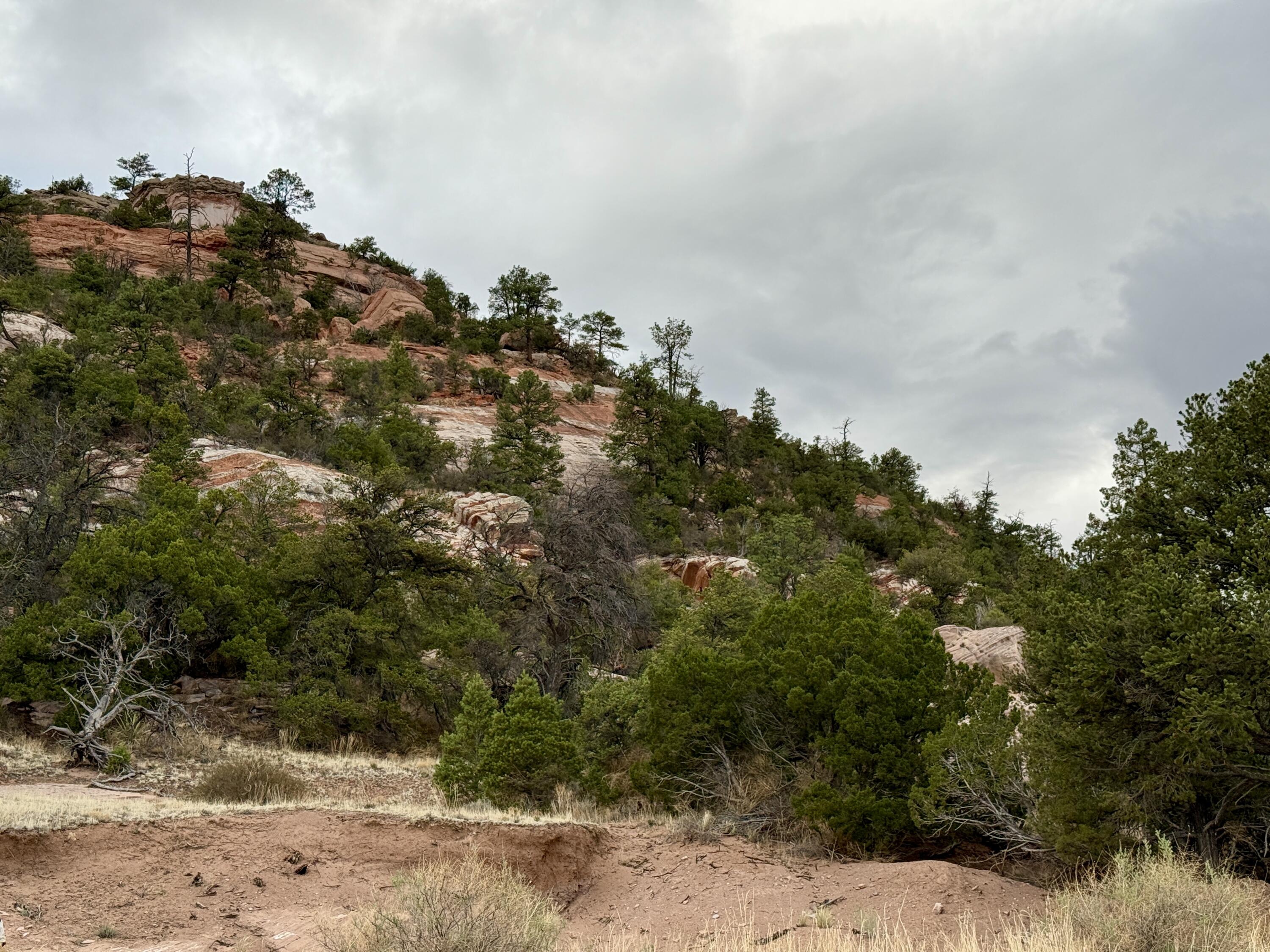 Box S Ranch Lots 5a And 5b, Ramah, New Mexico image 4