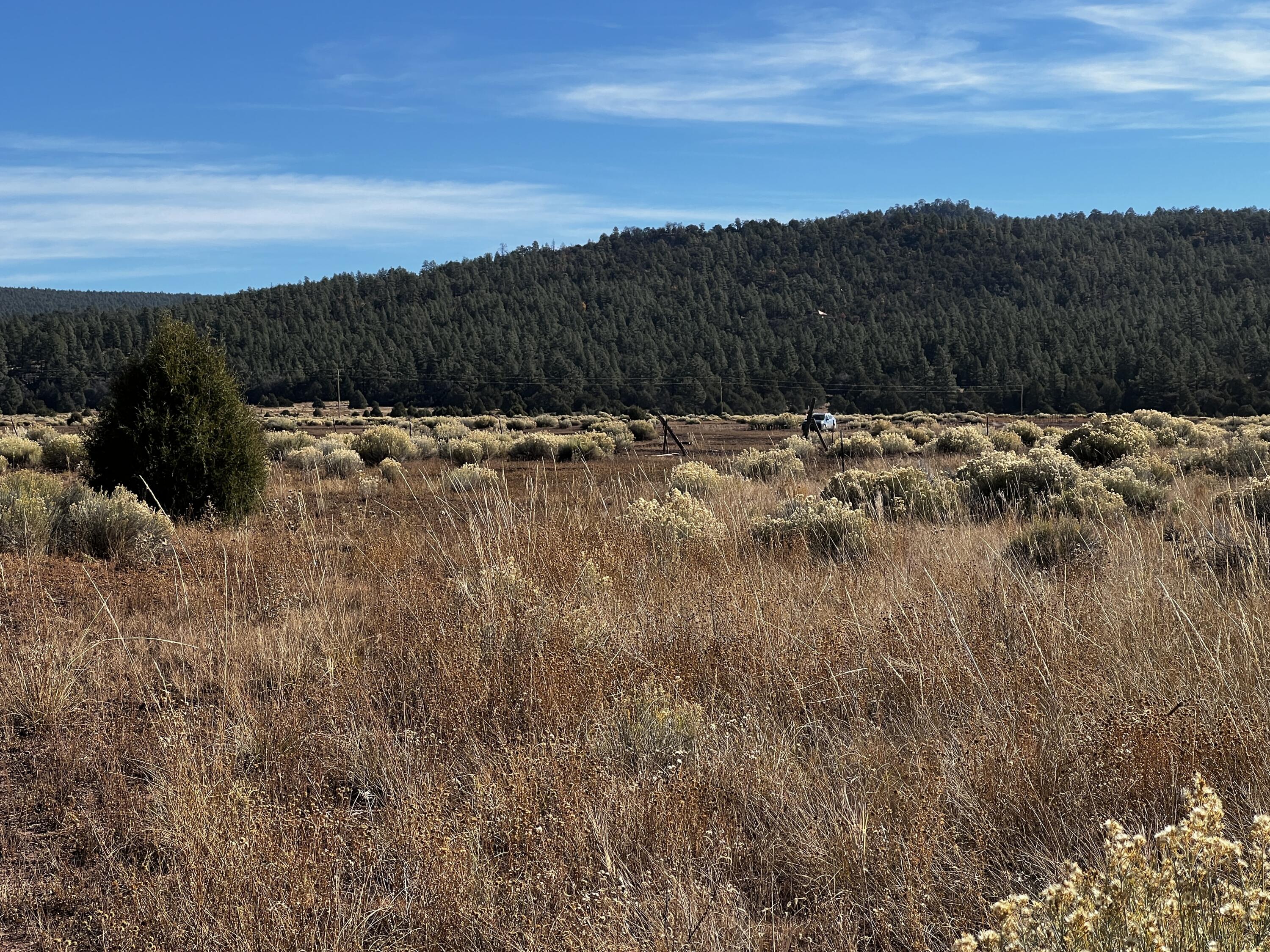Box S Ranch Lots 5a And 5b, Ramah, New Mexico image 7
