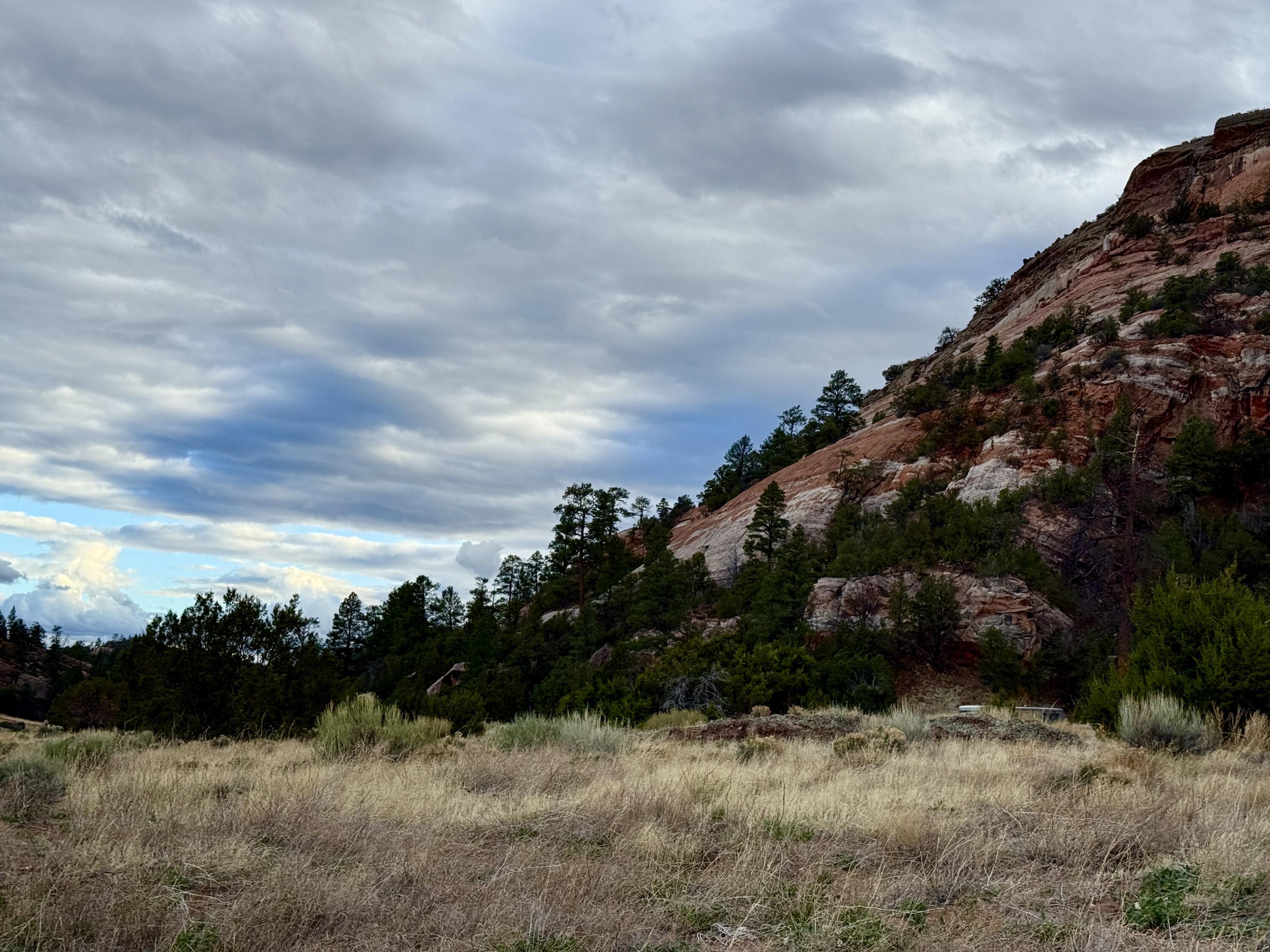 Box S Ranch Lots 5a And 5b, Ramah, New Mexico image 15