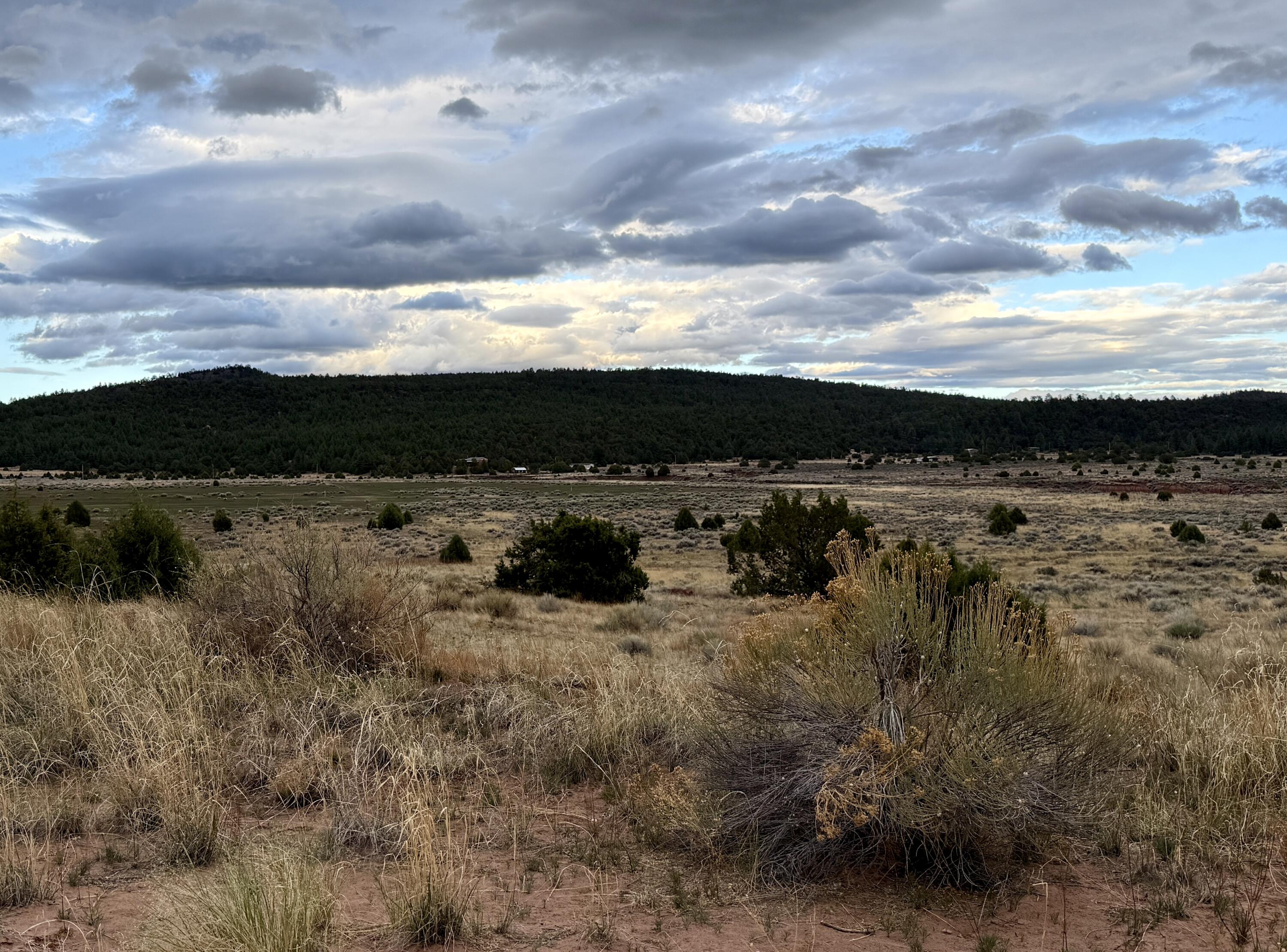 Box S Ranch Lots 5a And 5b, Ramah, New Mexico image 19