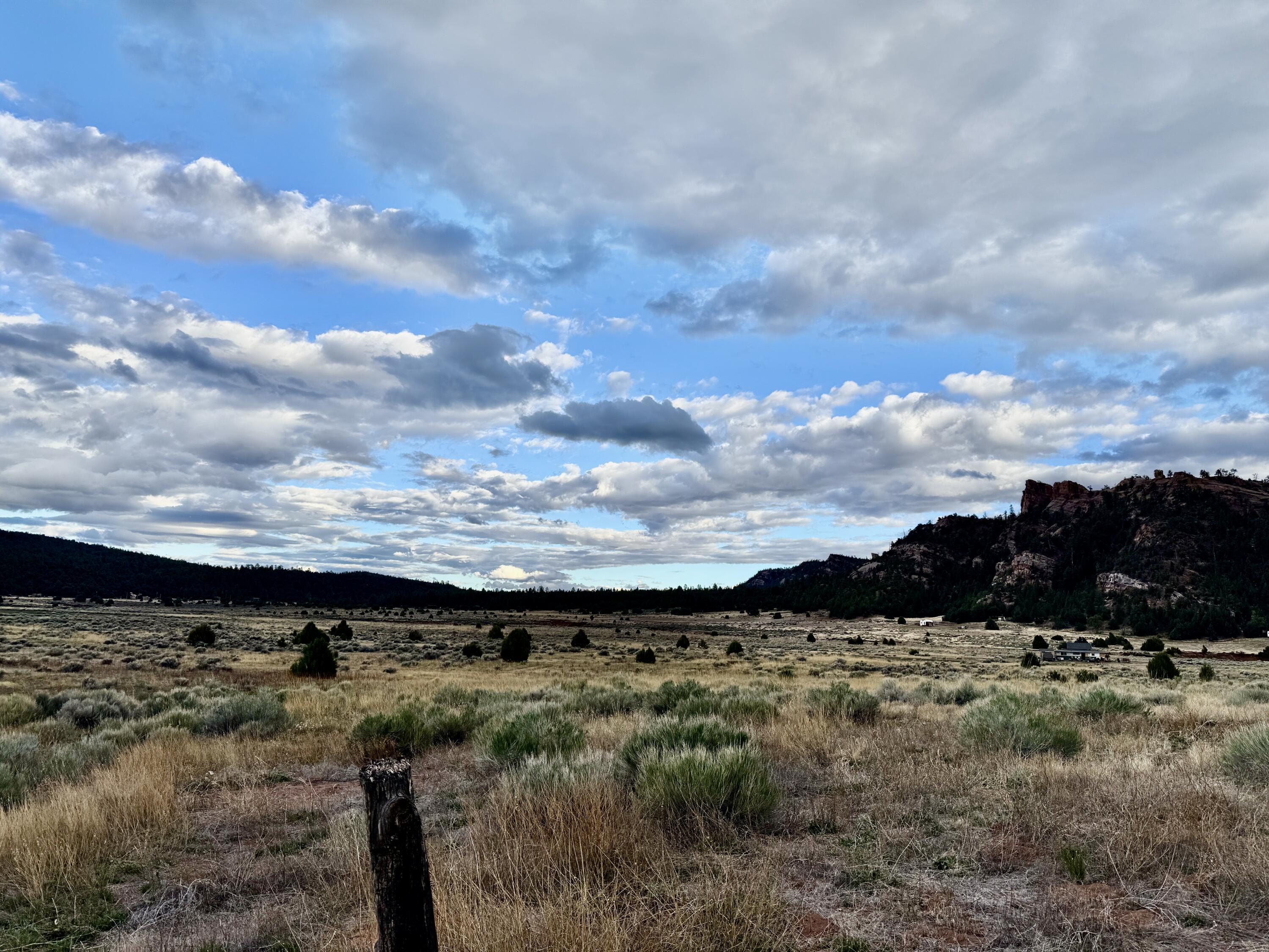 Box S Ranch Lots 5a And 5b, Ramah, New Mexico image 16