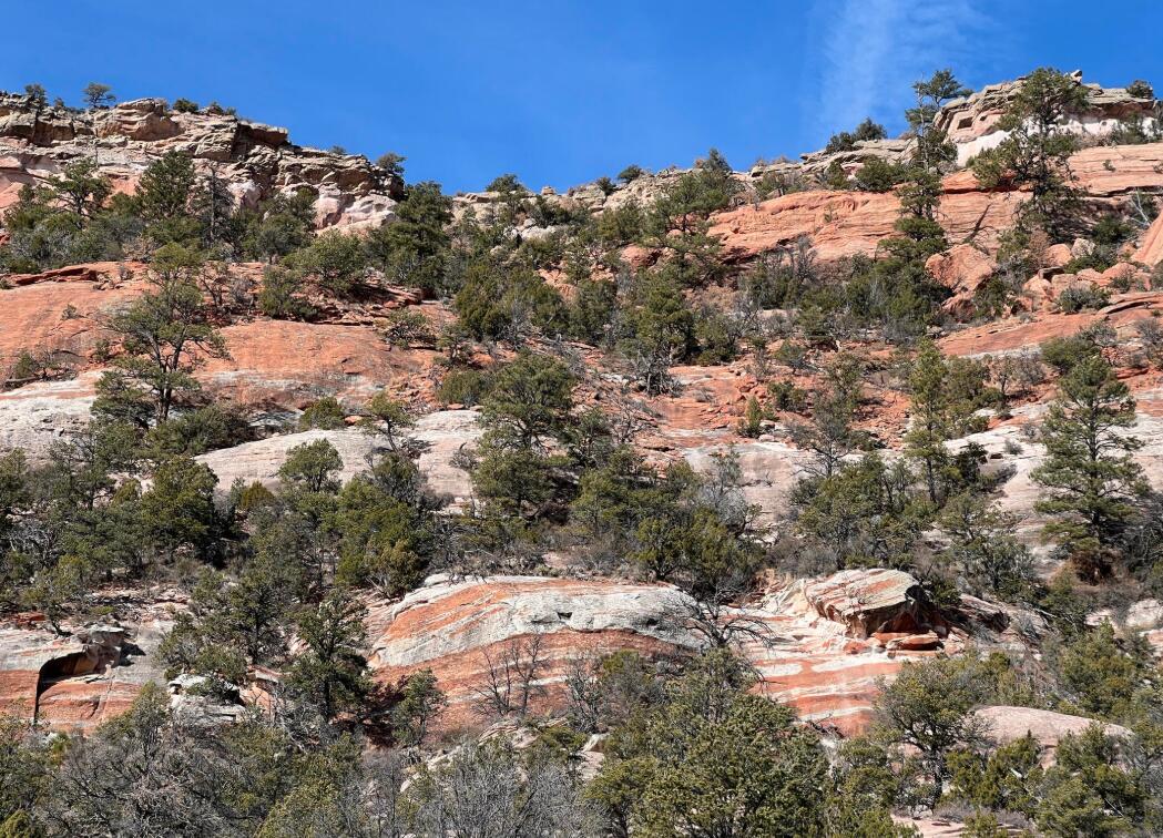 Box S Ranch Lots 5a And 5b, Ramah, New Mexico image 2