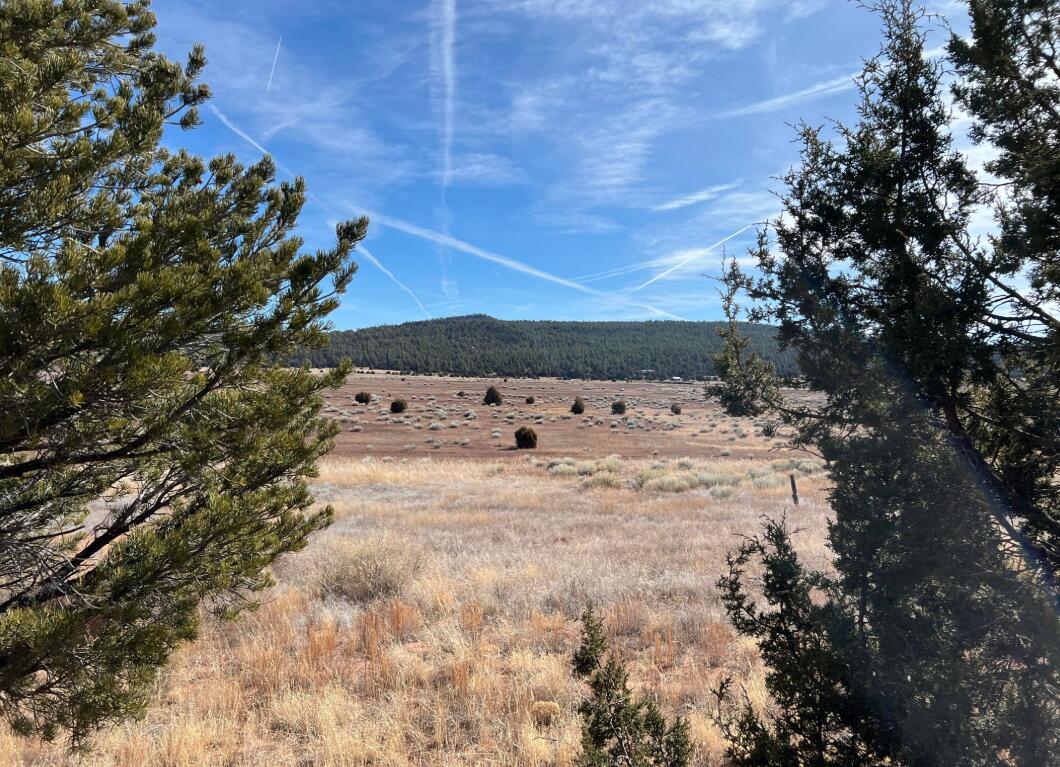 Box S Ranch Lots 5a And 5b, Ramah, New Mexico image 13