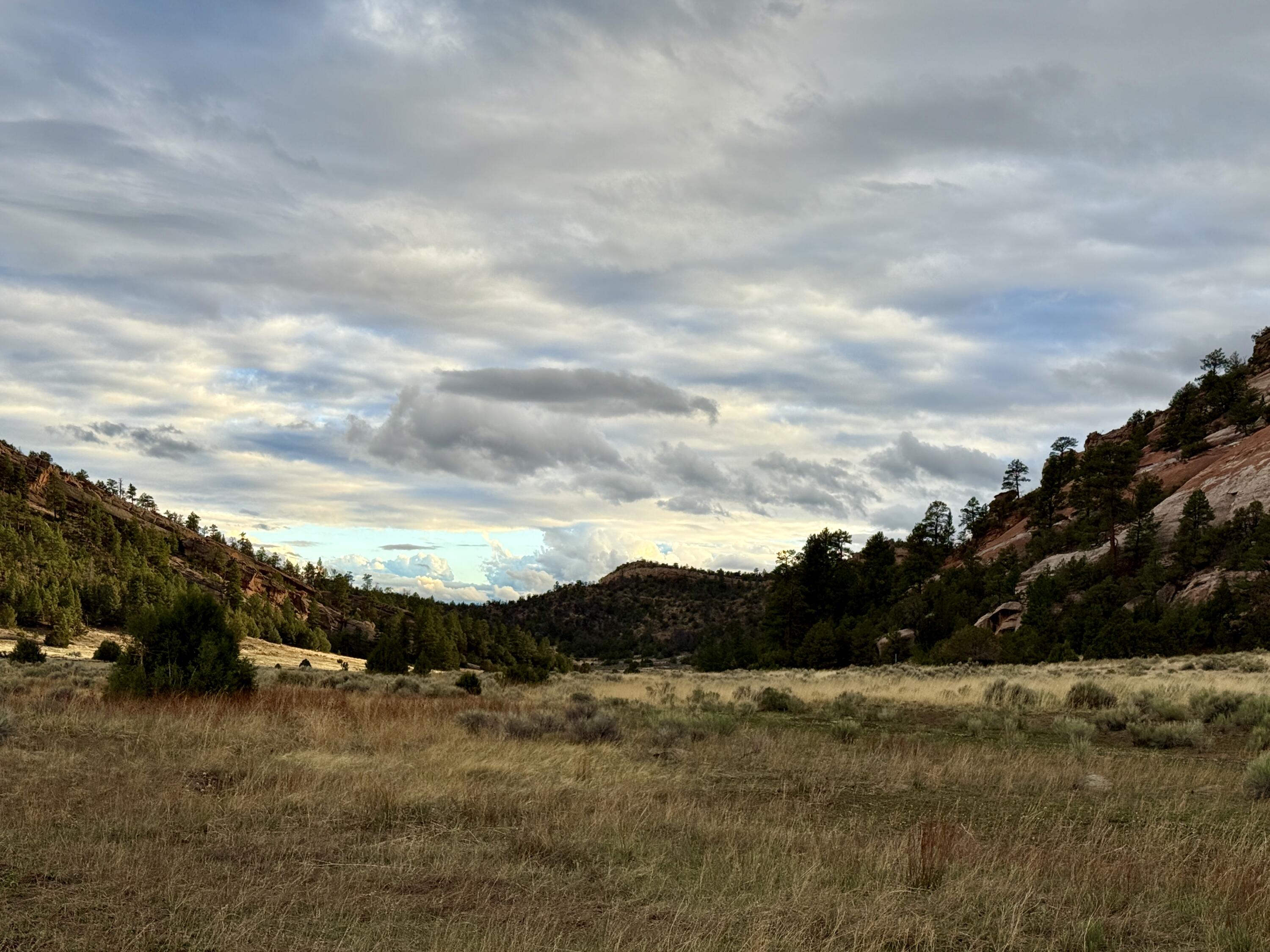 Box S Ranch Lots 5a And 5b, Ramah, New Mexico image 21