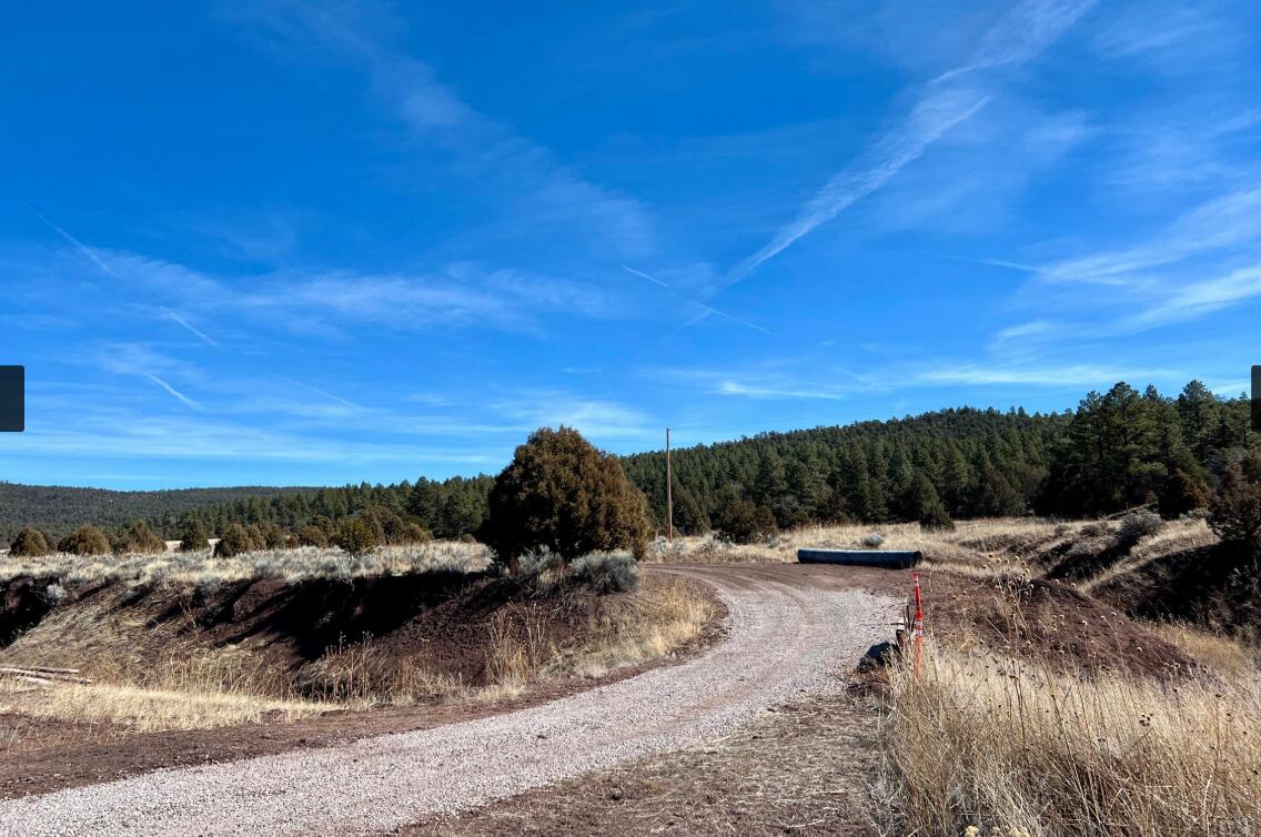 Box S Ranch Lots 5a And 5b, Ramah, New Mexico image 23