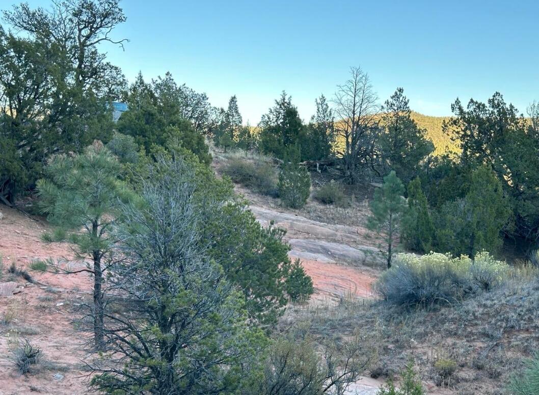 Box S Ranch Lots 5a And 5b, Ramah, New Mexico image 9