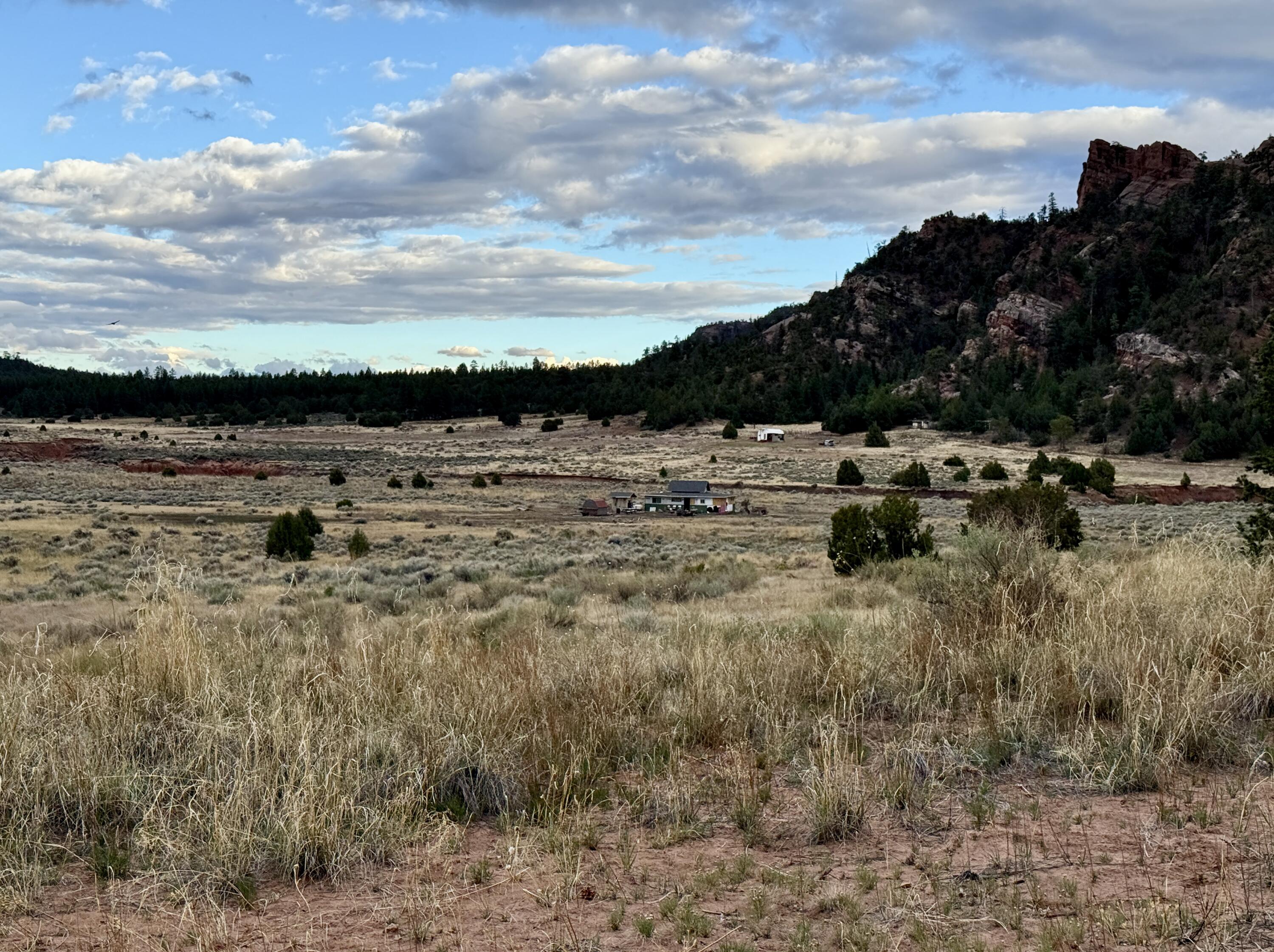Box S Ranch Lots 5a And 5b, Ramah, New Mexico image 20