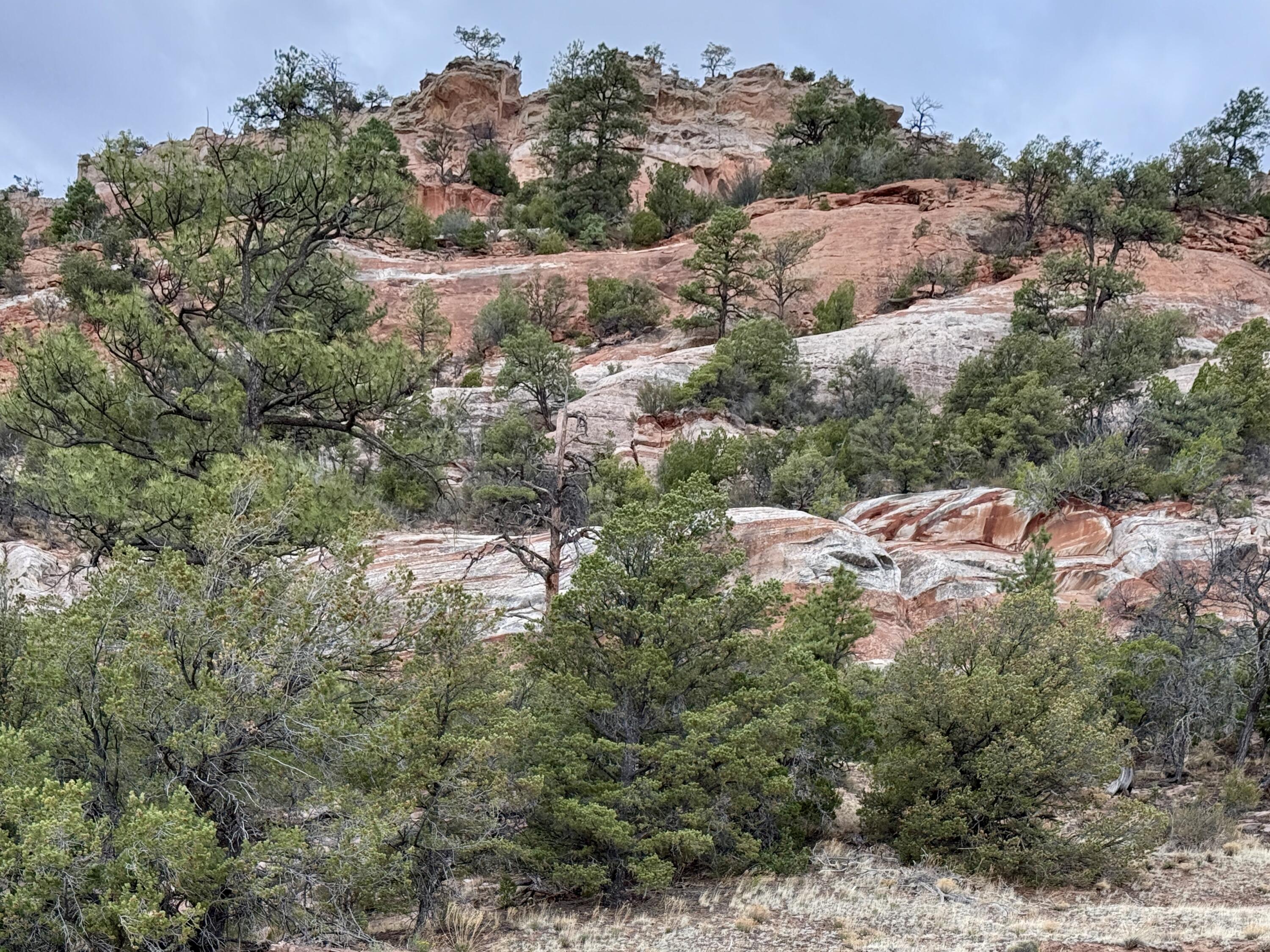 Box S Ranch Lots 5a And 5b, Ramah, New Mexico image 5