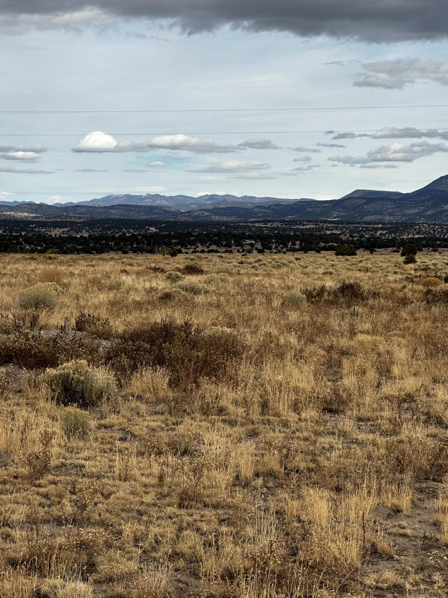 High Plains, Datil, New Mexico image 6