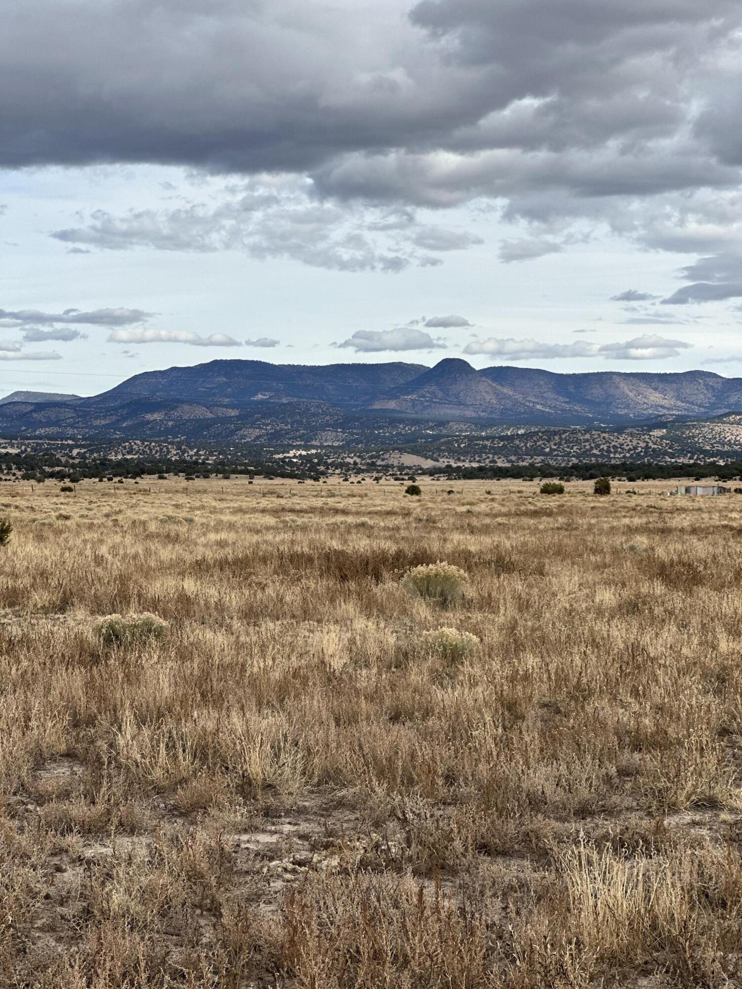 High Plains, Datil, New Mexico image 1