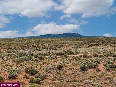 Vacant Land For Sale - W Tract 17 C3 West Rim Road<br/> Taos County, El Prado, NM 87529