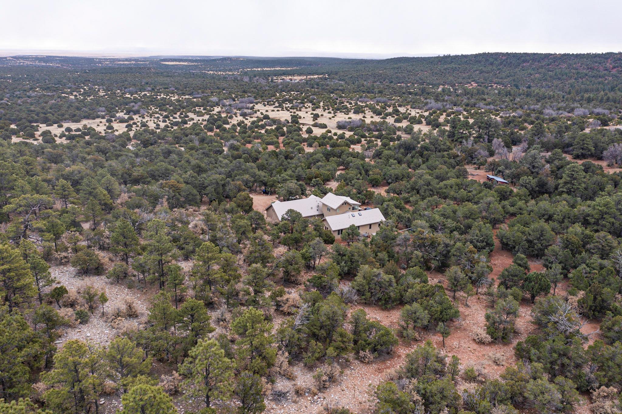 219 State Highway 131, Mountainair, New Mexico image 3