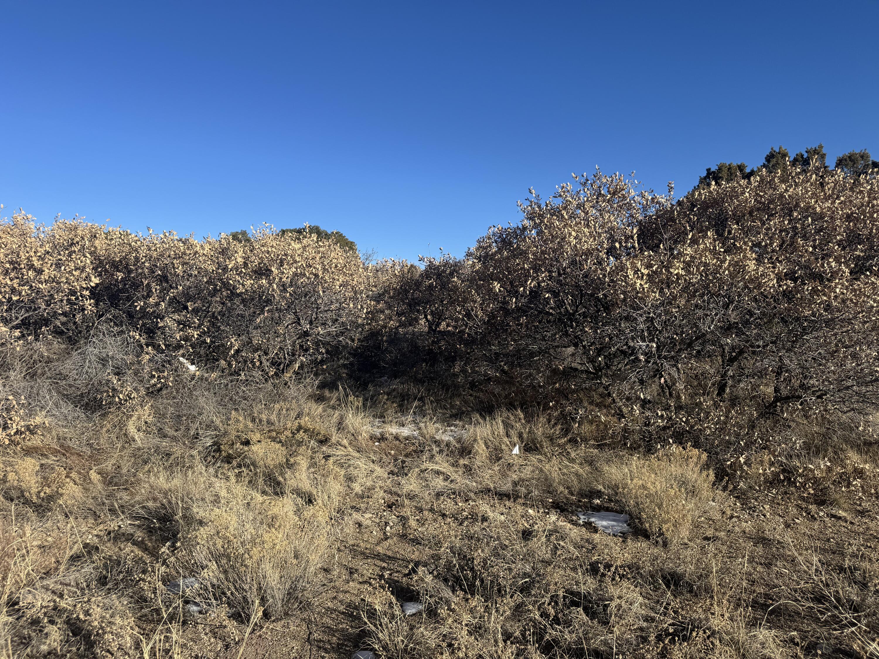 2 Punch Court, Tijeras, New Mexico image 9