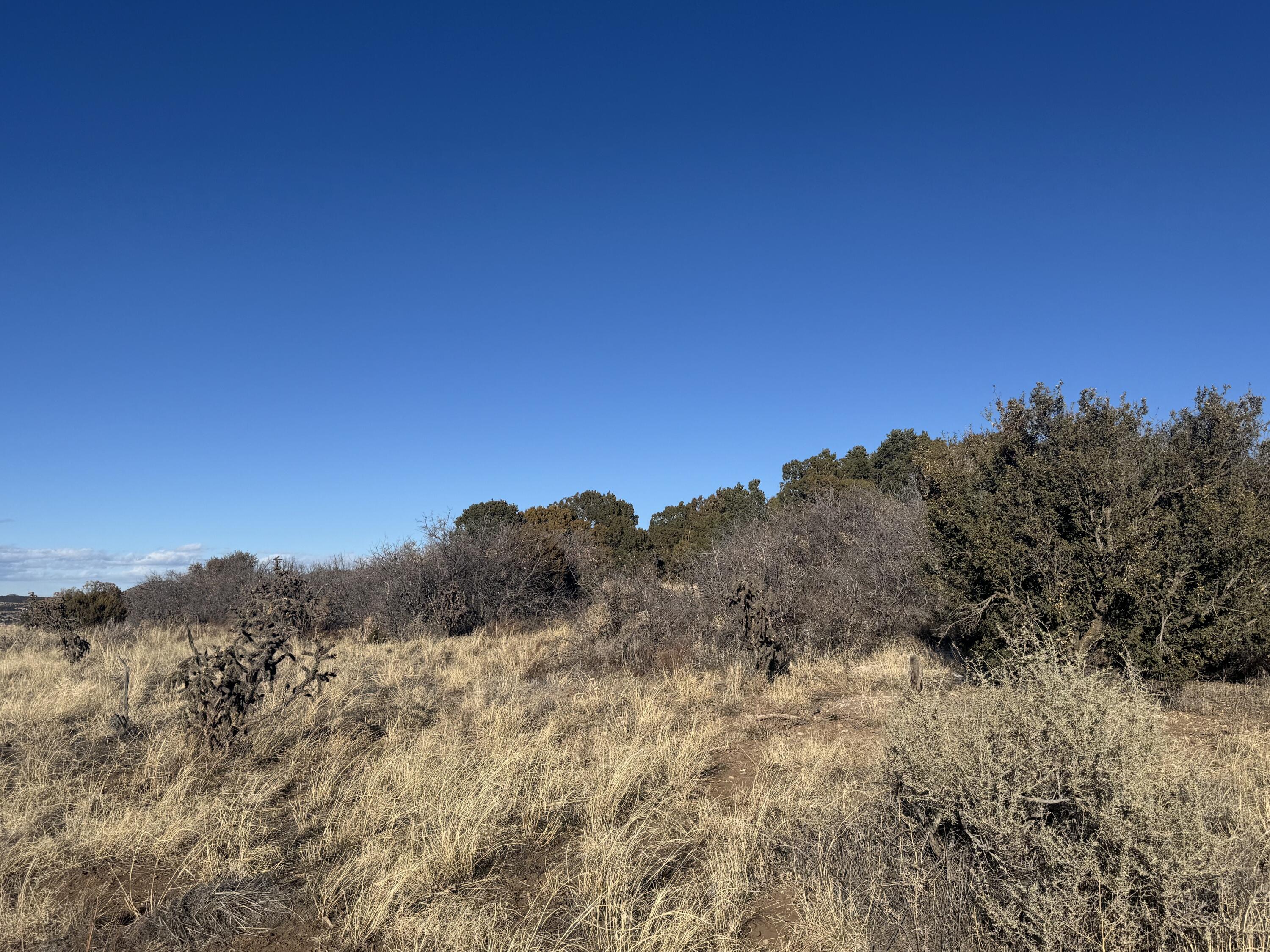 2 Punch Court, Tijeras, New Mexico image 11