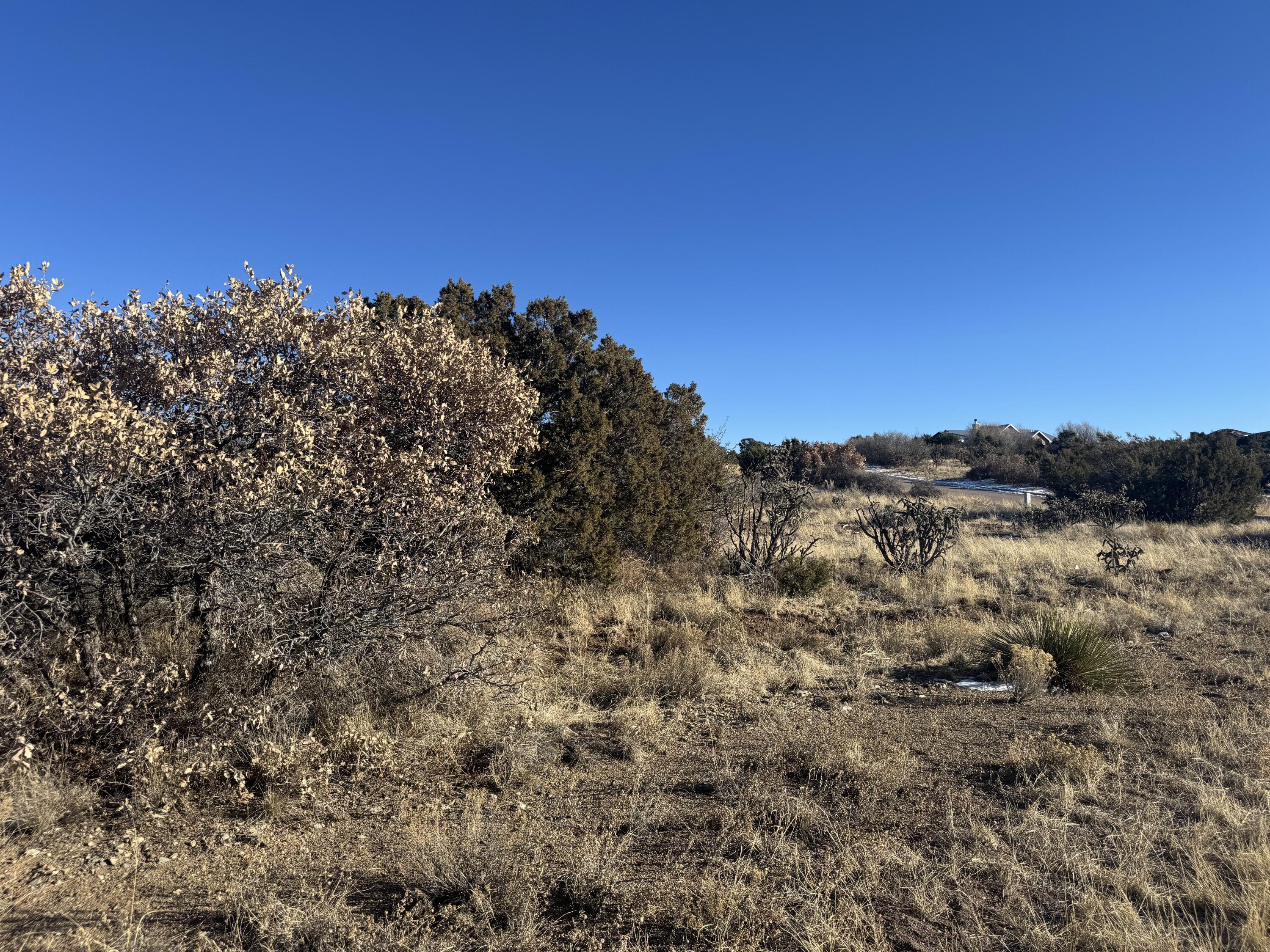 2 Punch Court, Tijeras, New Mexico image 6