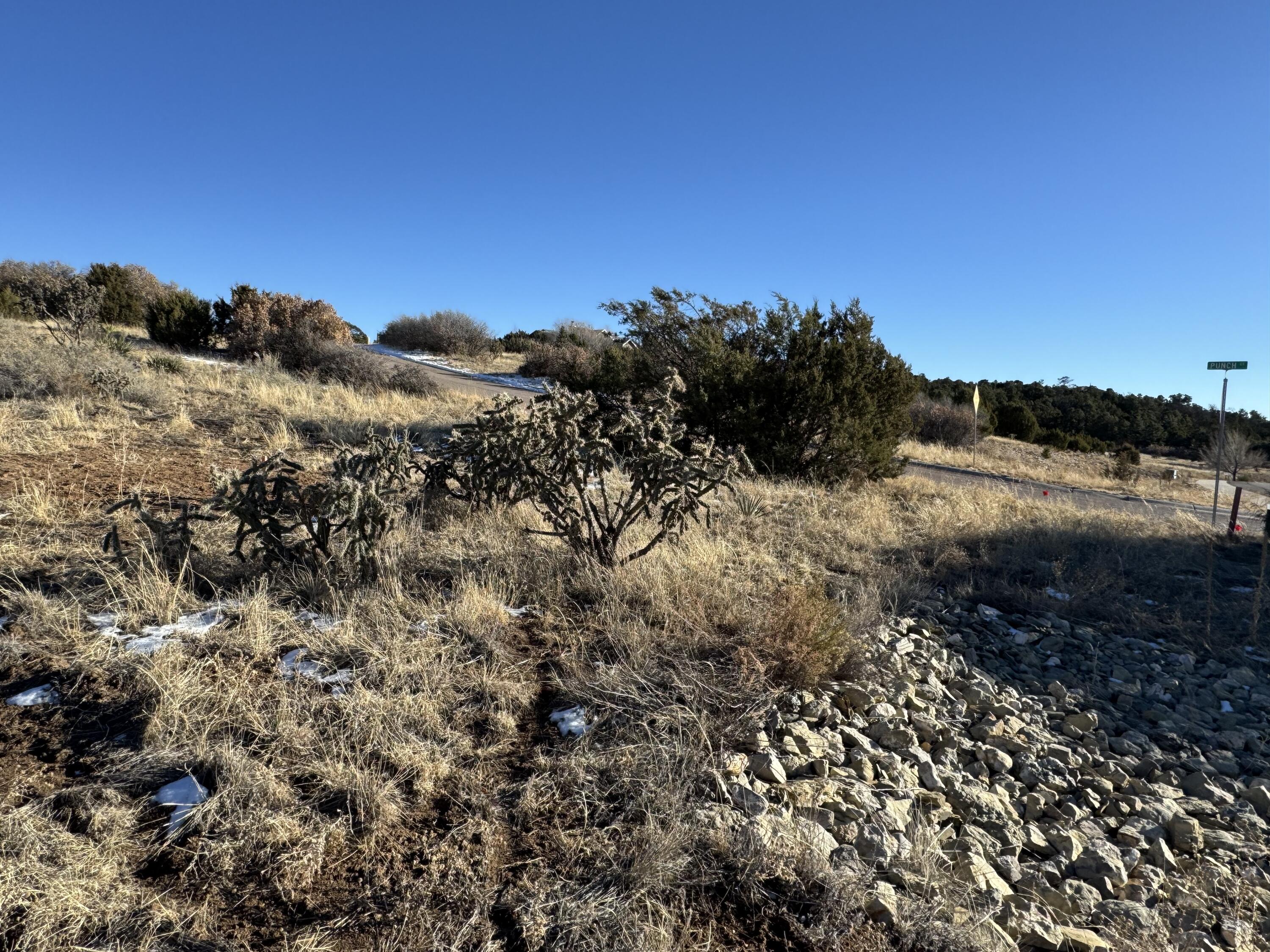 2 Punch Court, Tijeras, New Mexico image 12