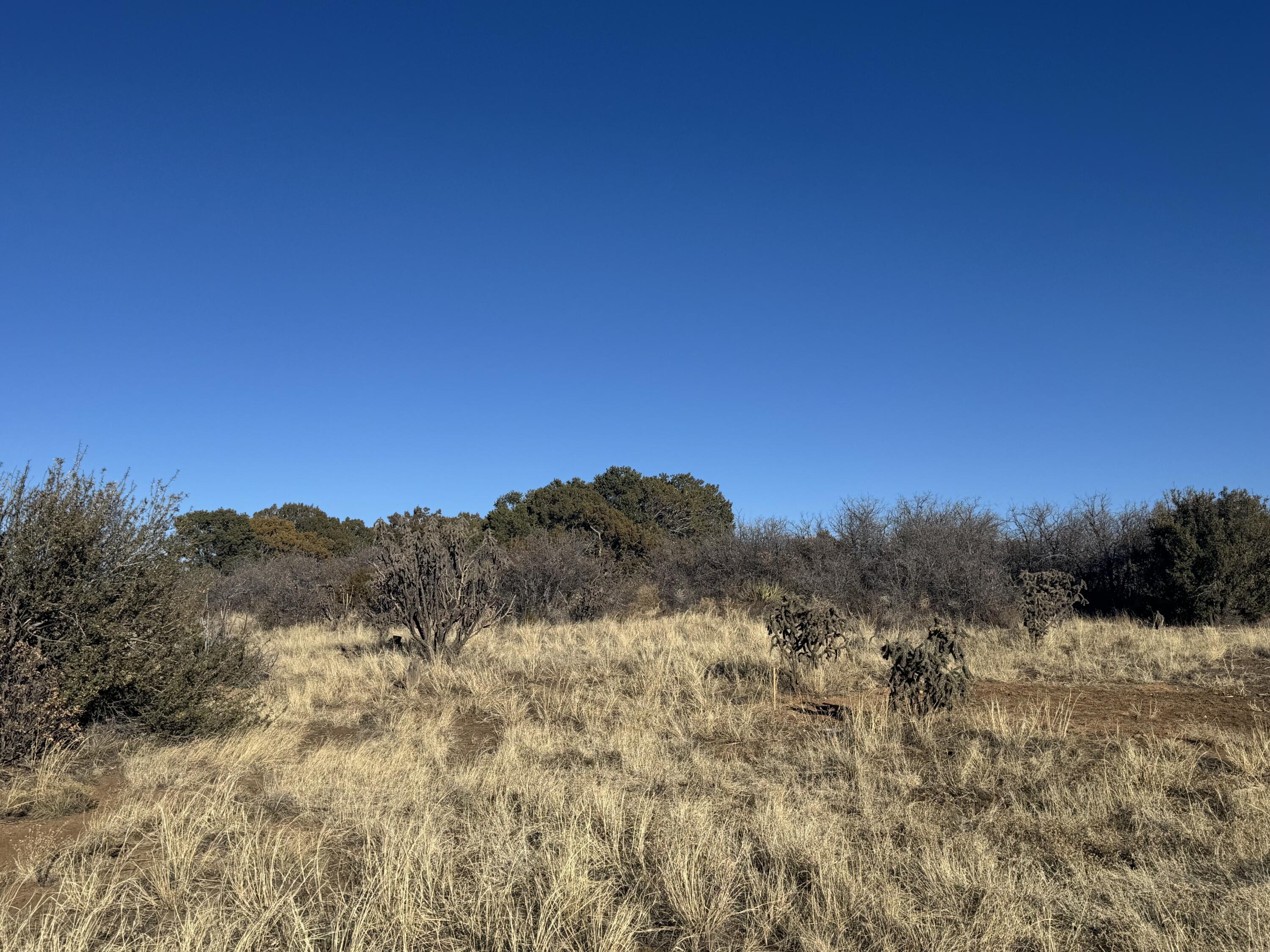 2 Punch Court, Tijeras, New Mexico image 13