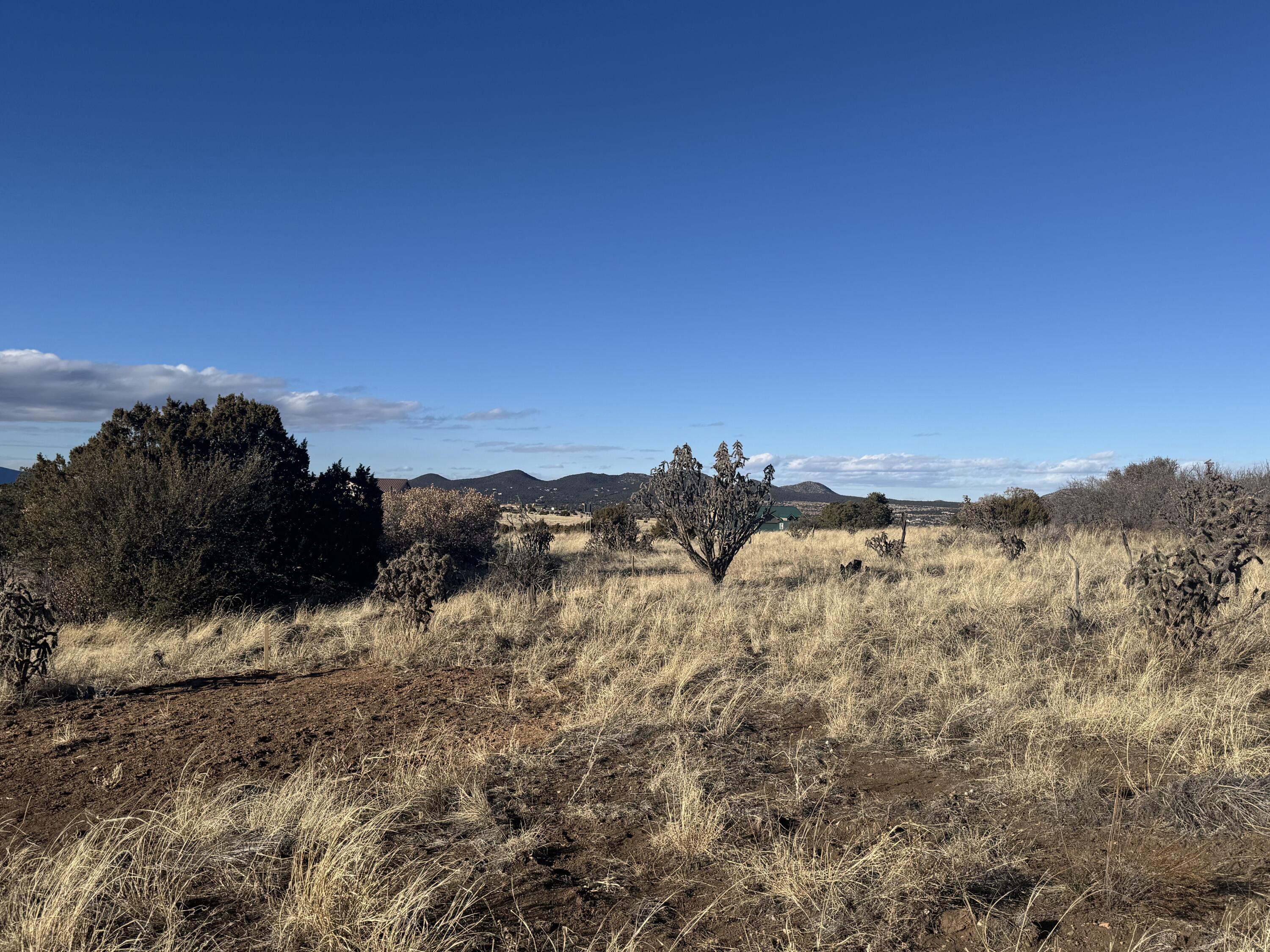 2 Punch Court, Tijeras, New Mexico image 1