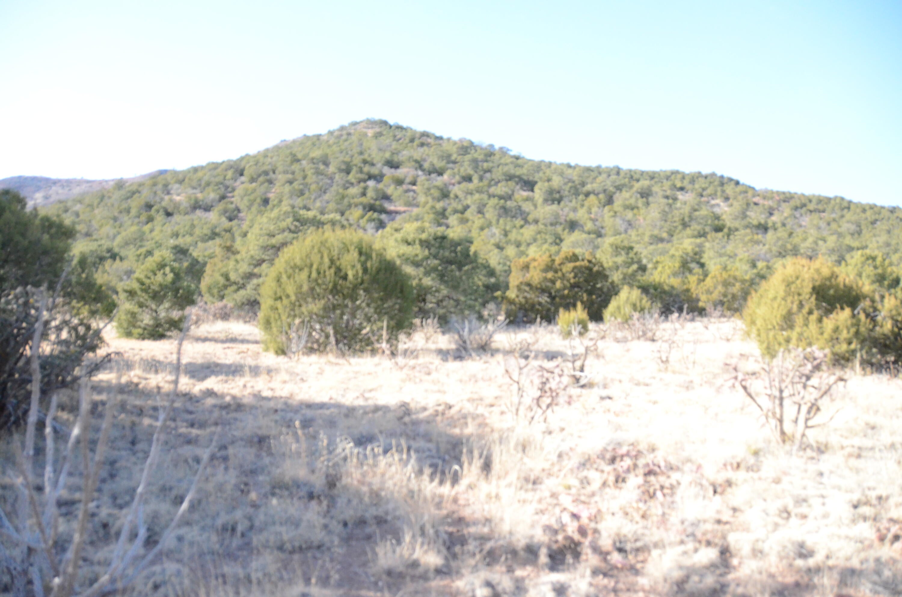 80 N Mountain Road