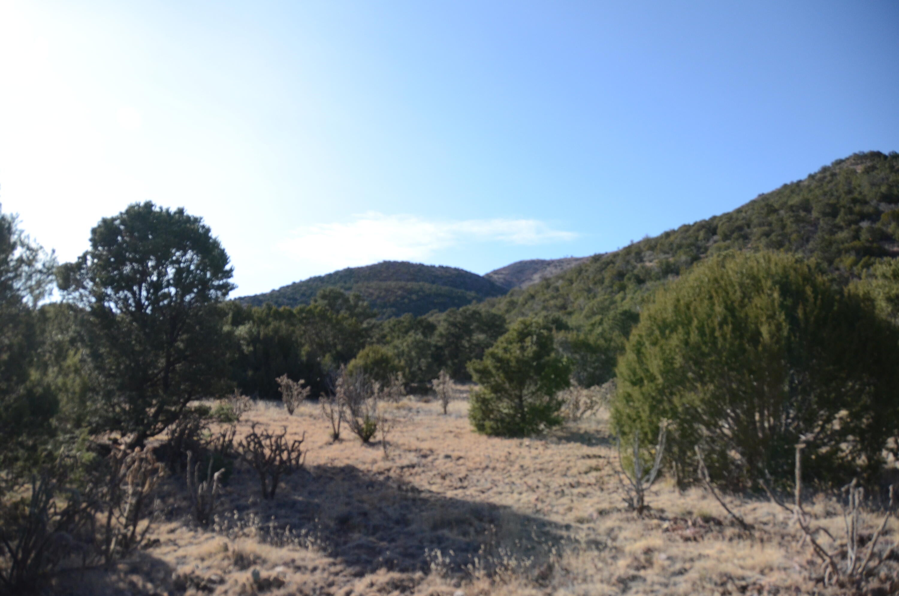 80 N Mountain Road