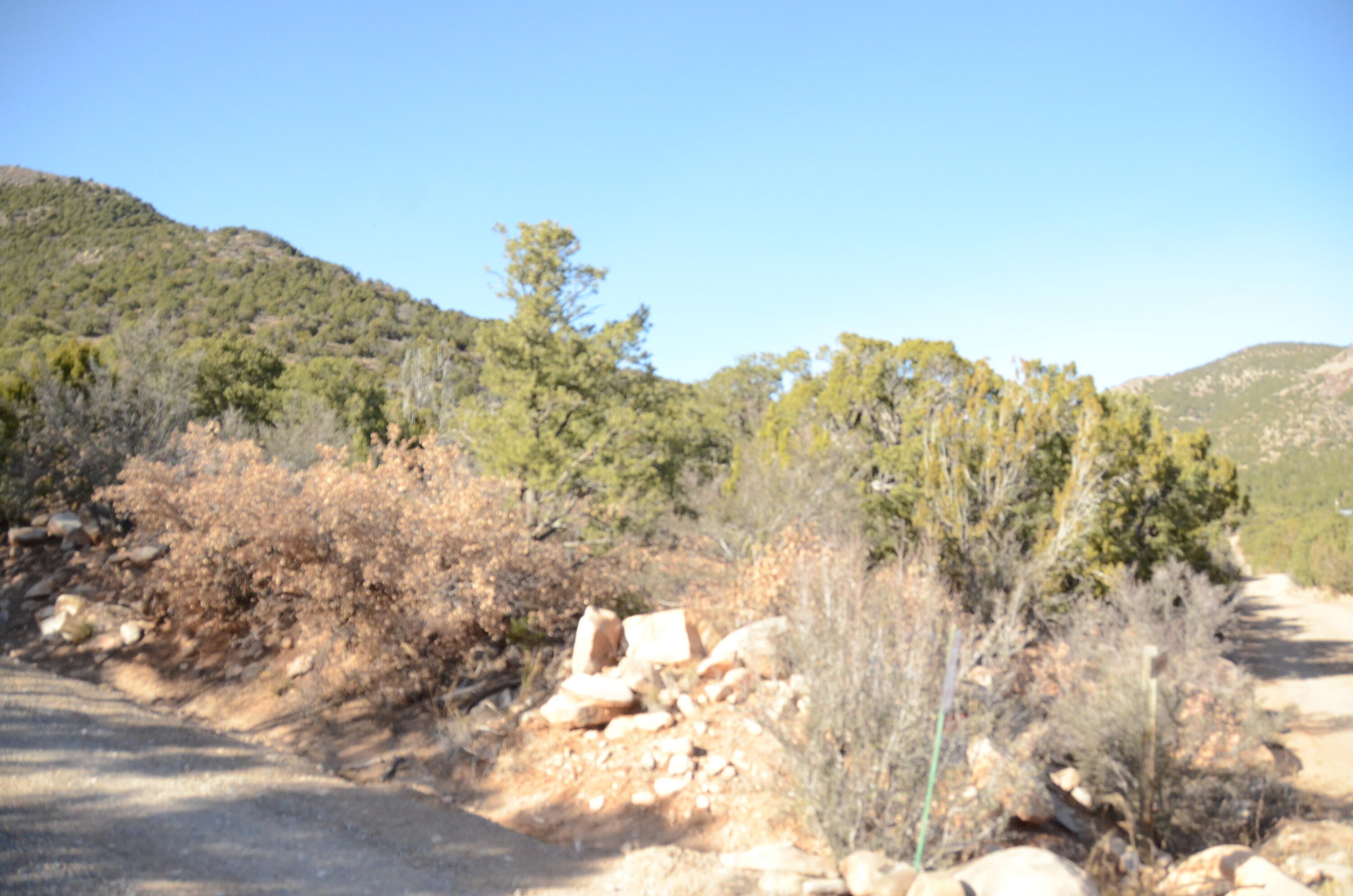 80 N Mountain Road