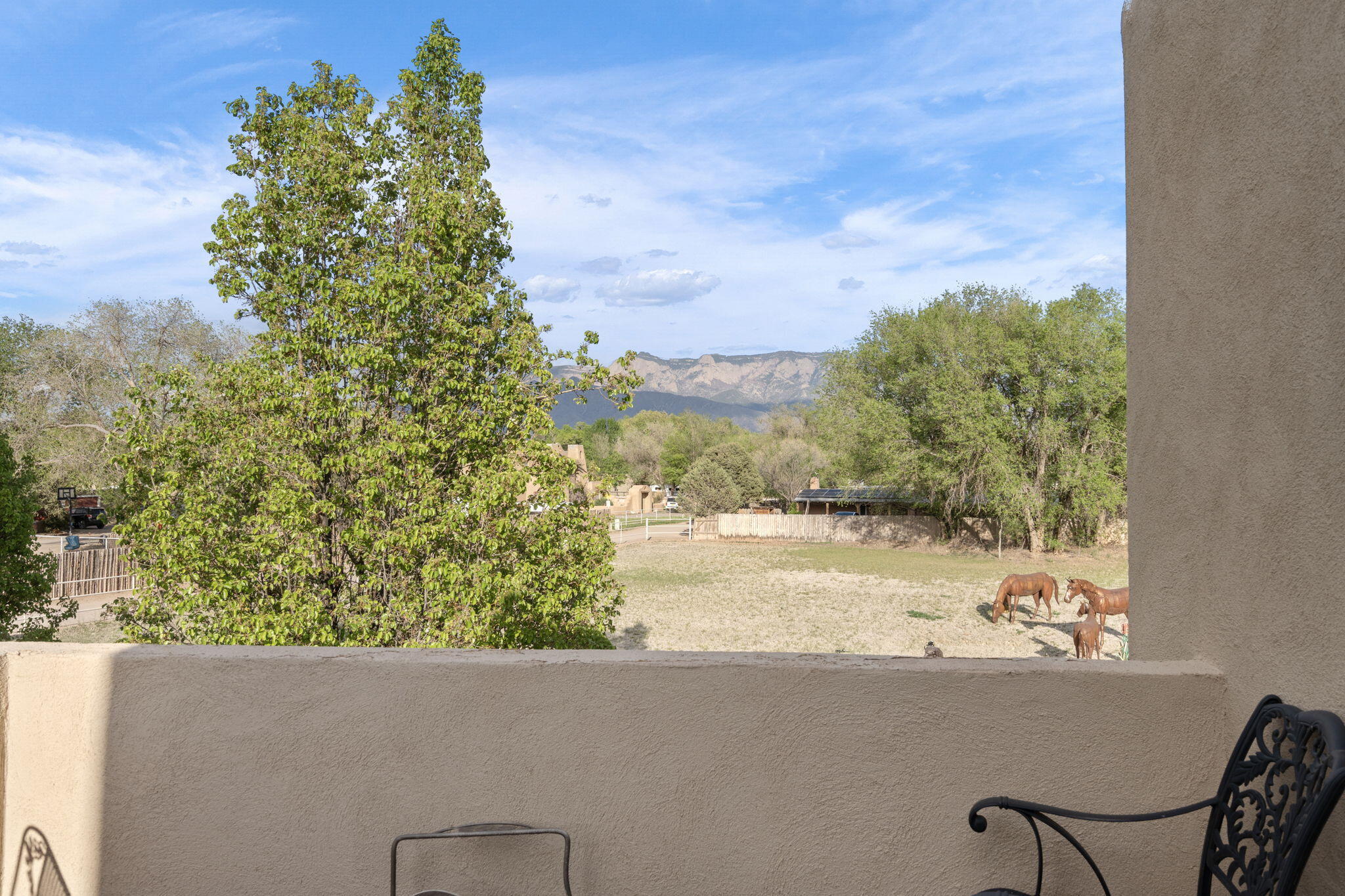 203 N Felice Perea Road, Corrales, New Mexico image 17