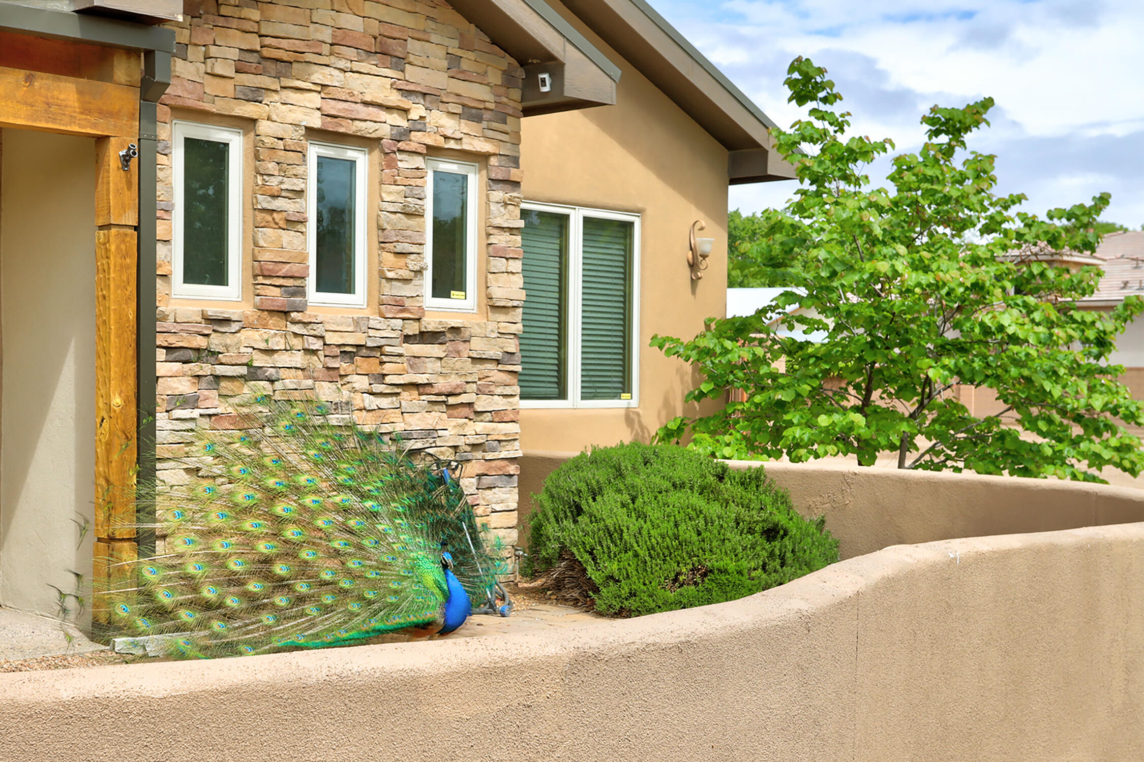 2601 Corianda Court, Albuquerque, New Mexico image 47
