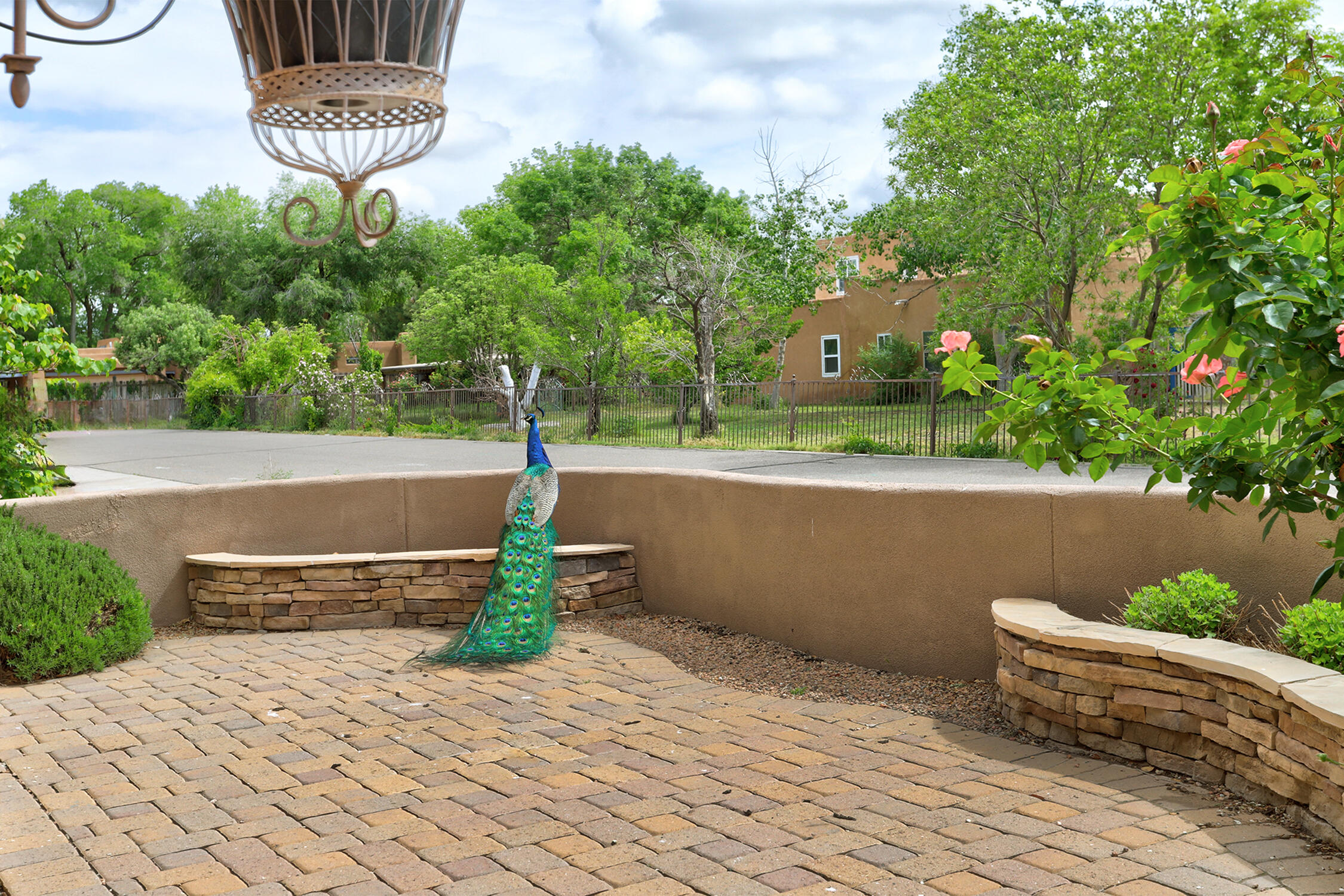 2601 Corianda Court, Albuquerque, New Mexico image 48