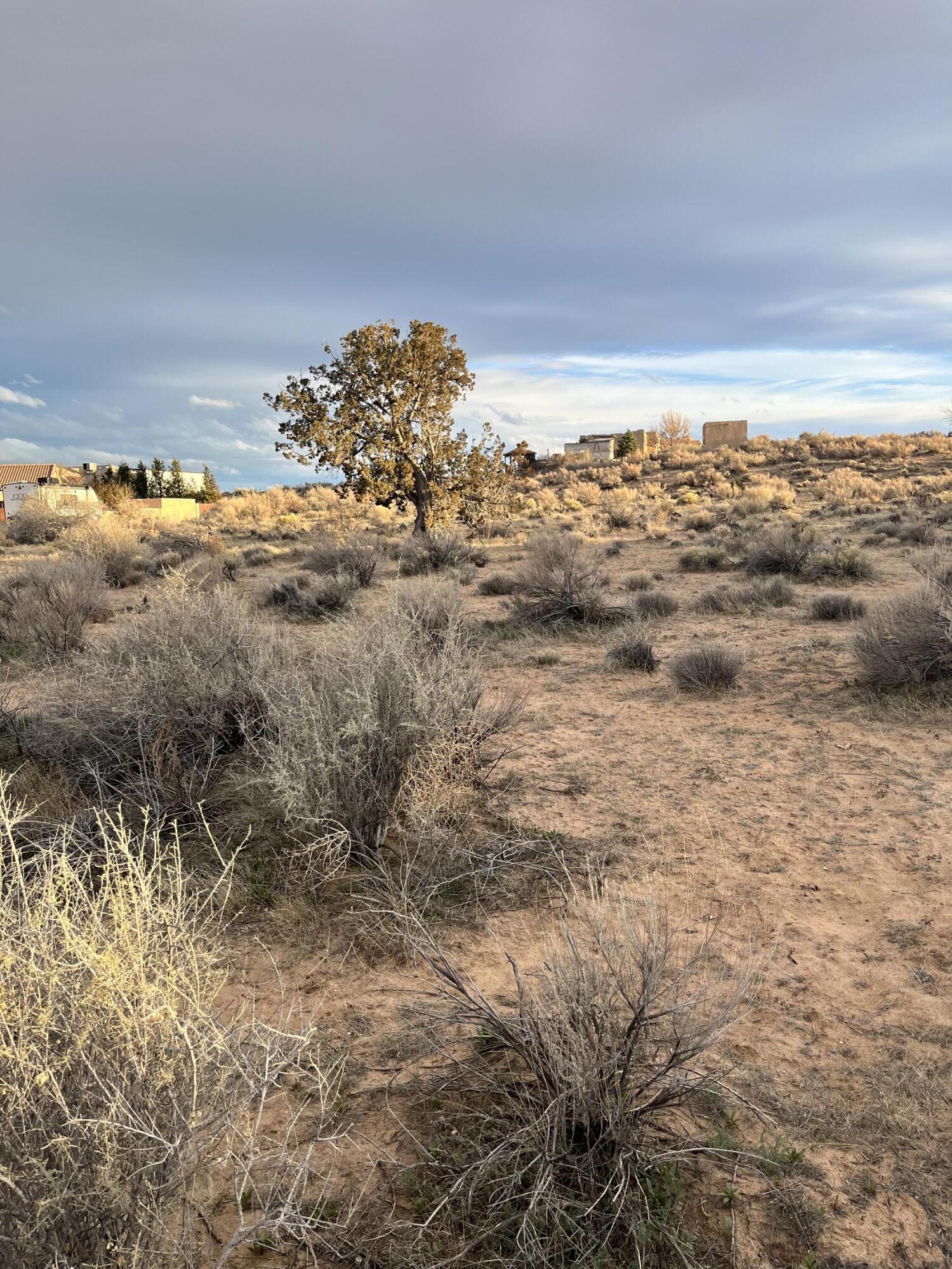 6824 Vatapa Road, Rio Rancho, New Mexico image 9