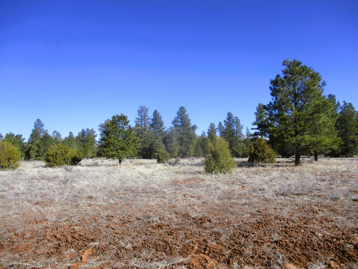 Lot 16 Culebra Drive, Ramah, New Mexico image 45