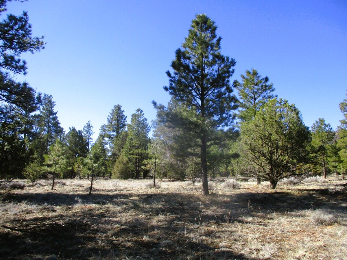 Lot 16 Culebra Drive, Ramah, New Mexico image 16