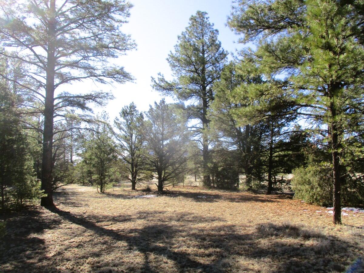 Lot 16 Culebra Drive, Ramah, New Mexico image 24