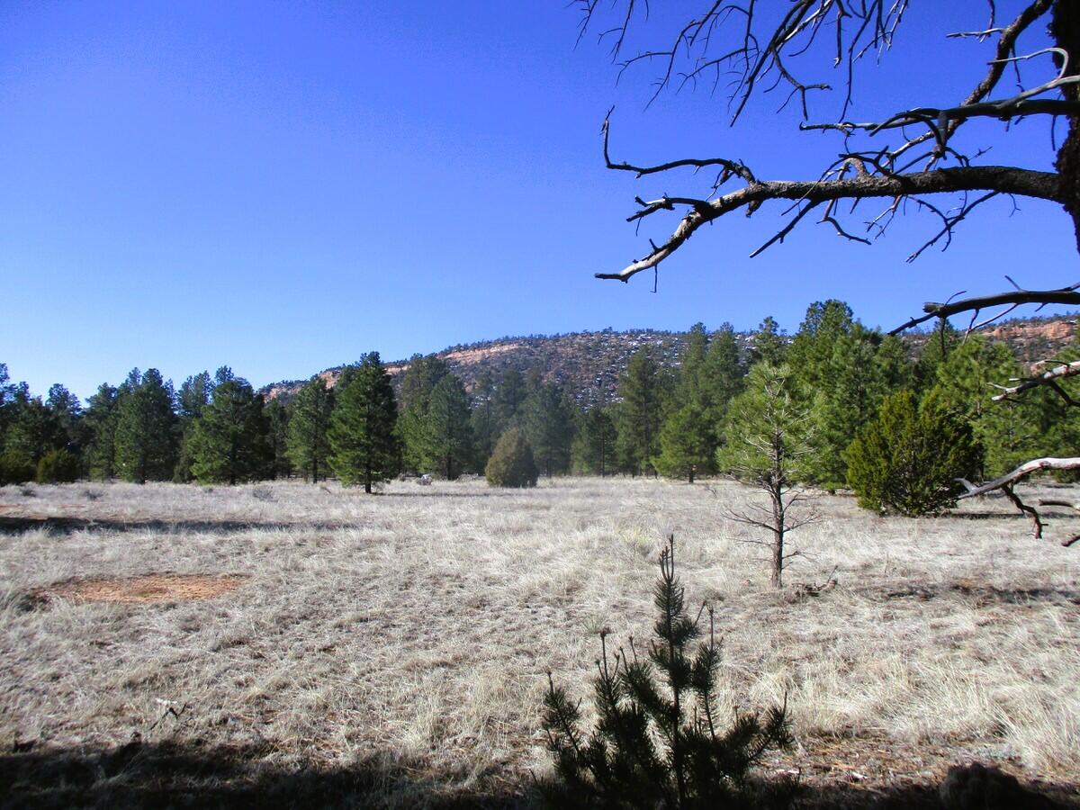 Lot 16 Culebra Drive, Ramah, New Mexico image 28