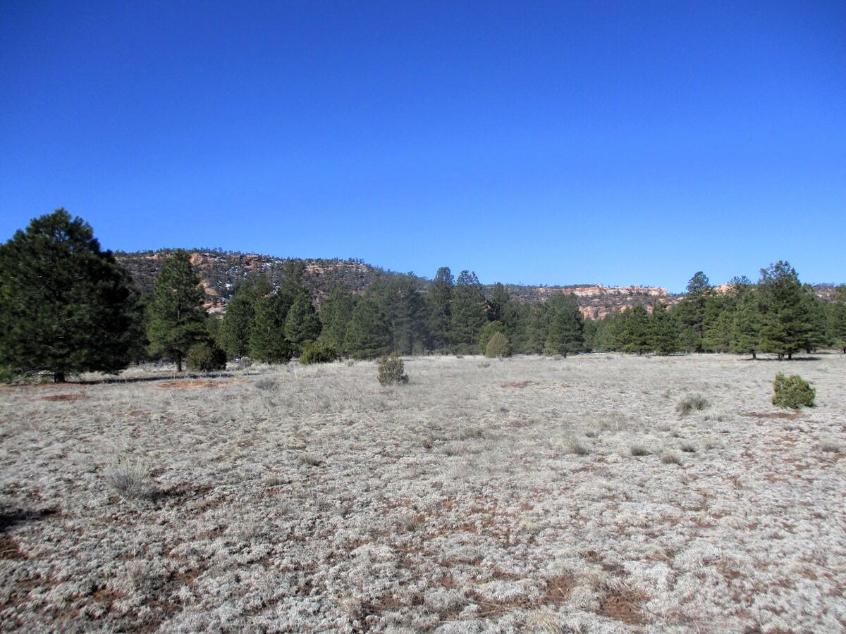 Lot 16 Culebra Drive, Ramah, New Mexico image 6