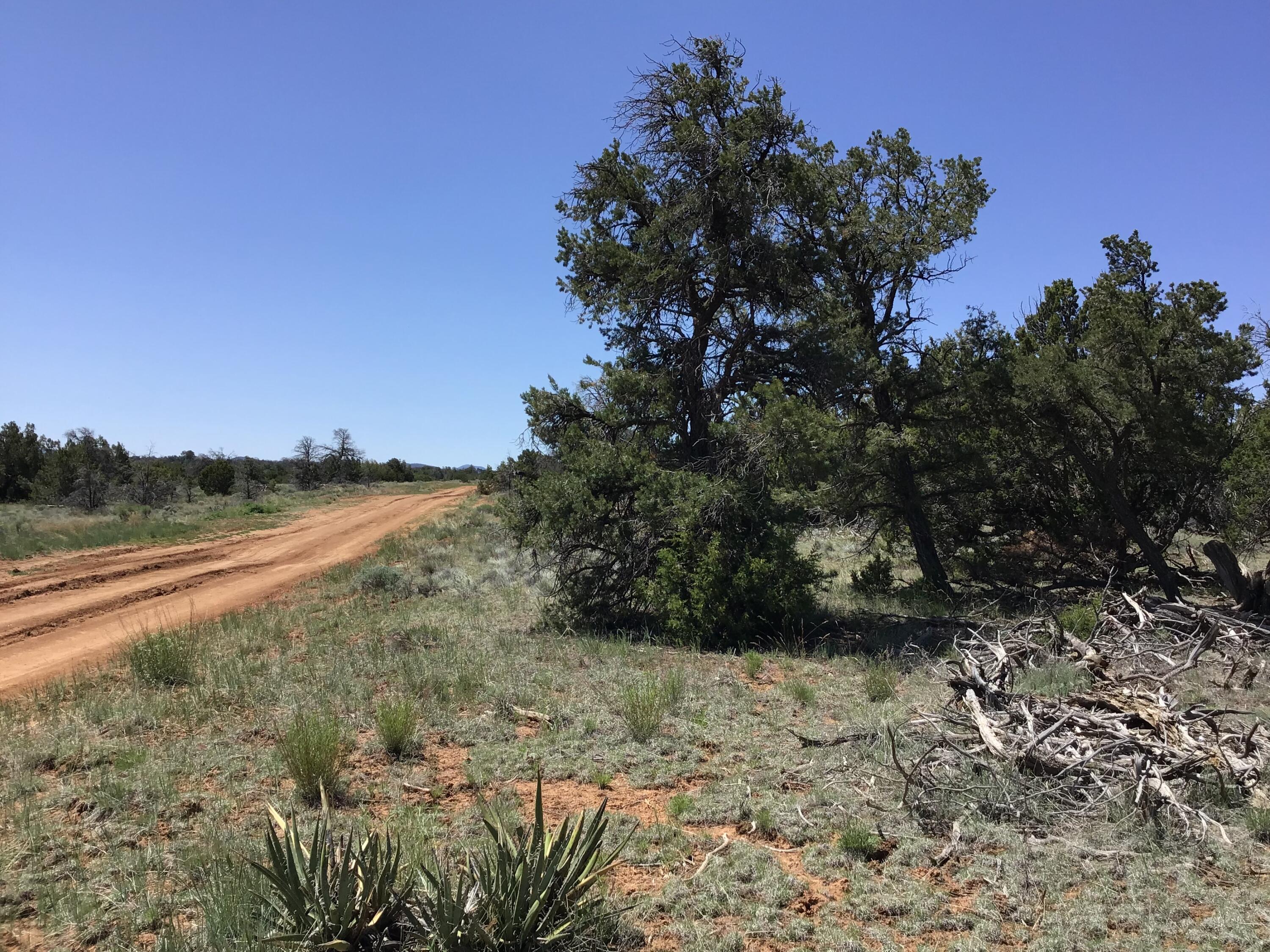 Lot 31 Country Lane, Ramah, New Mexico image 25