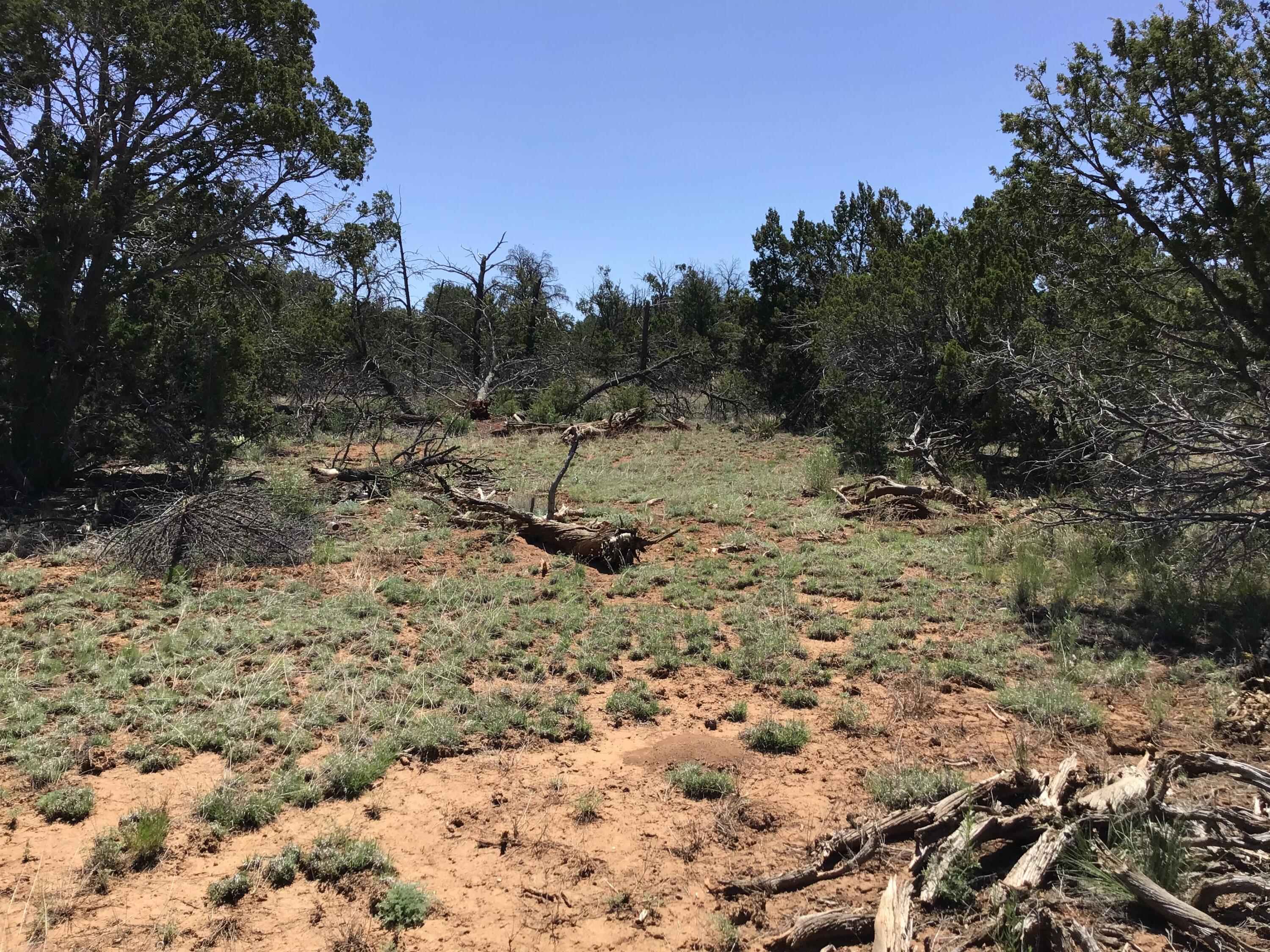 Lot 31 Country Lane, Ramah, New Mexico image 4